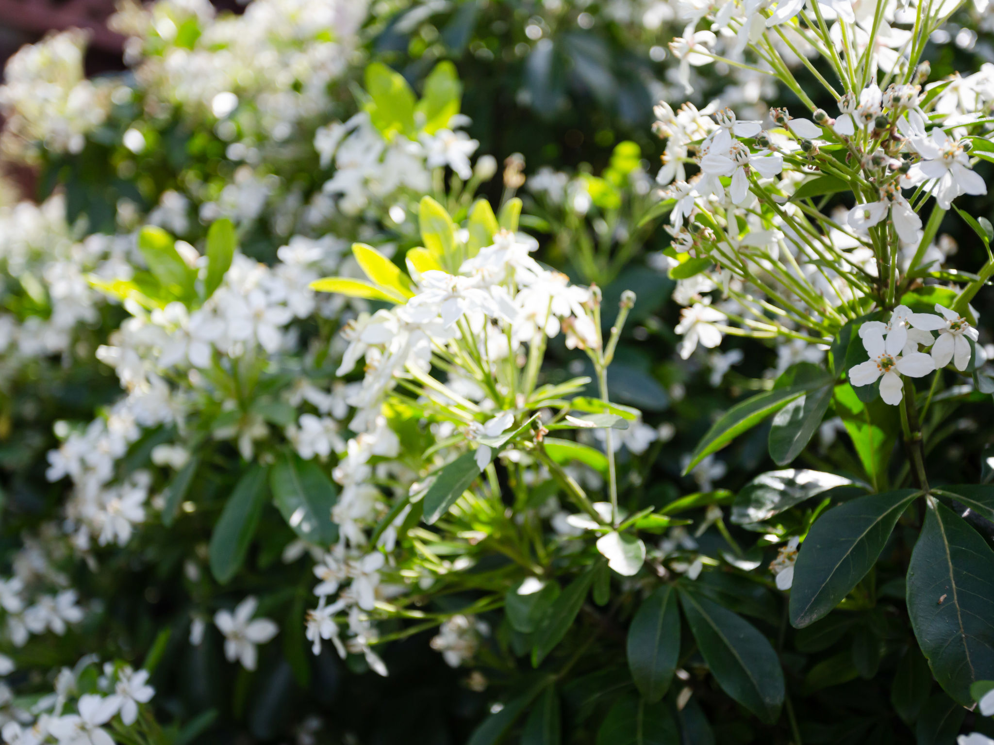 Photo of Domaine de Clairefontaine