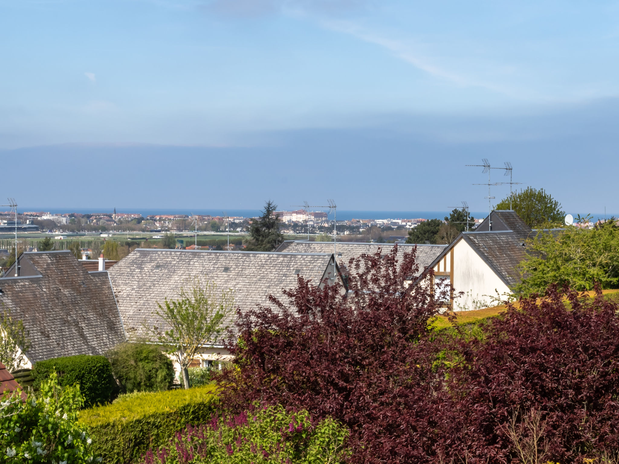 Les Jonquilles-Buiten