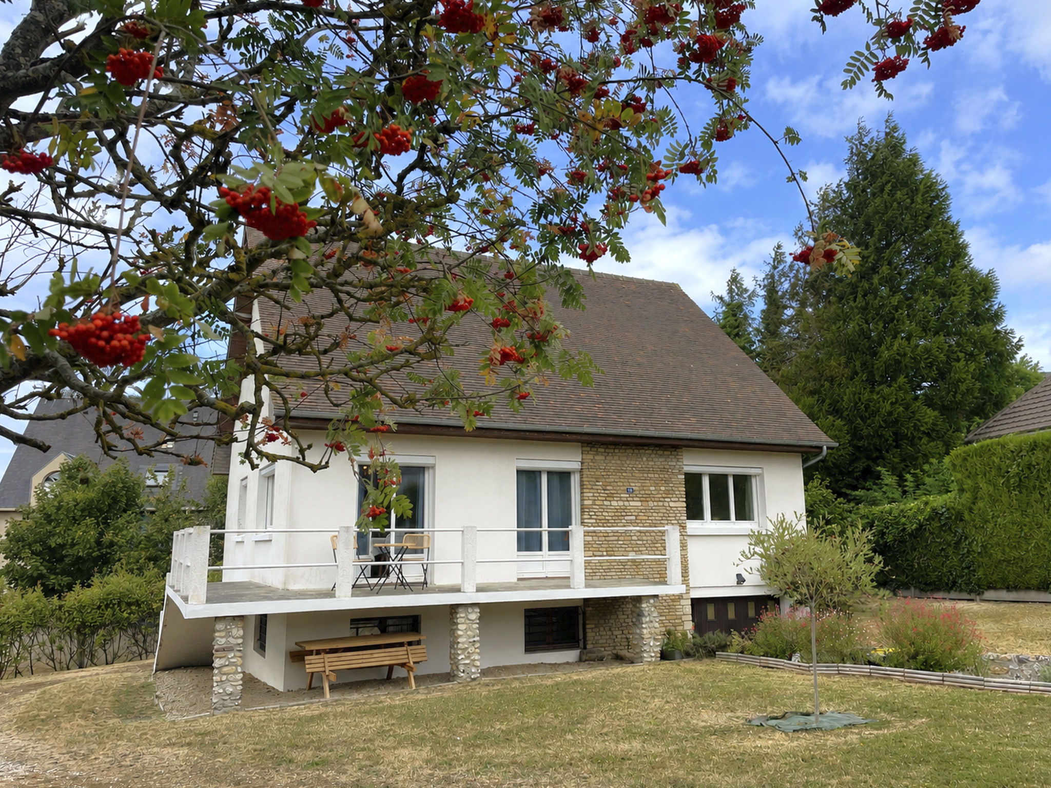 Photo of Les Glaieuls