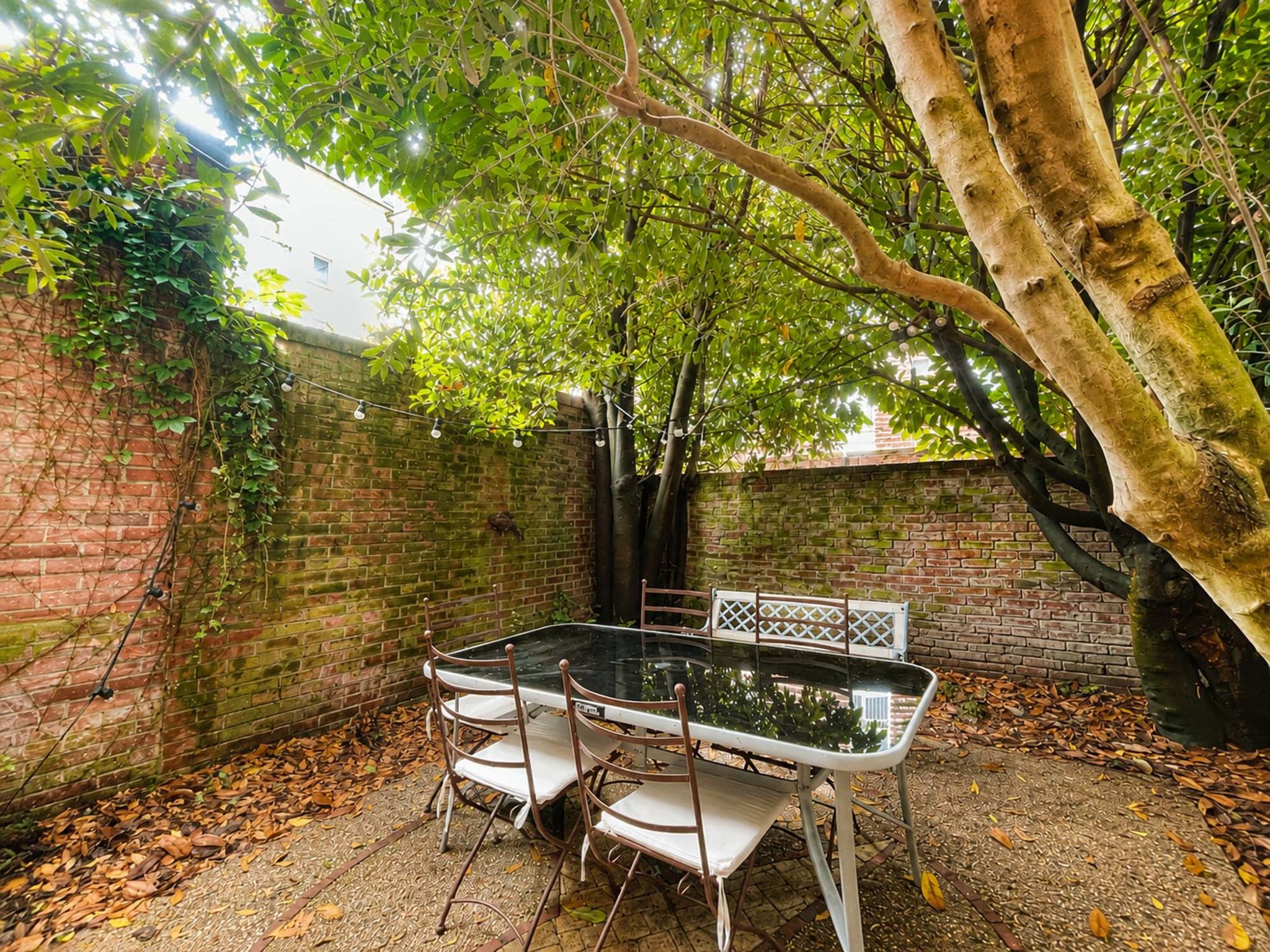 Photo of Petite Normandie