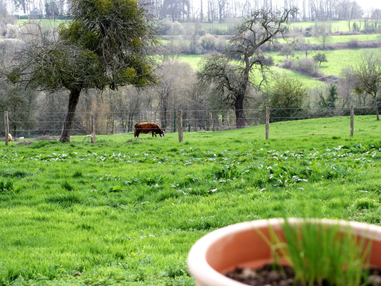 Photo of Les écuries de Callenville