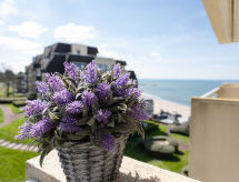 Appartement Domaine des Roches: Zeezicht & Golf bij Deauville-Trouville - thumbnail 3