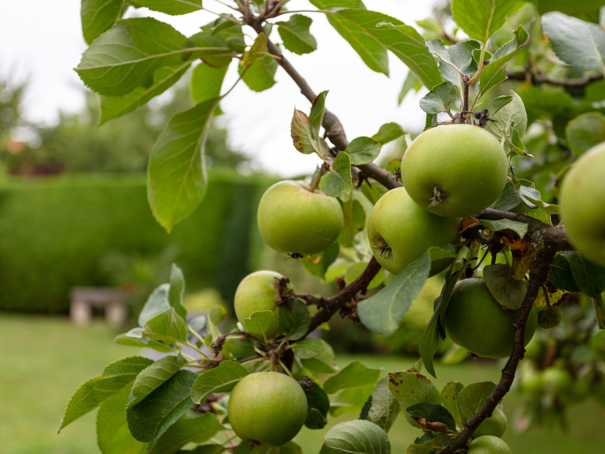 Photo of La Normande