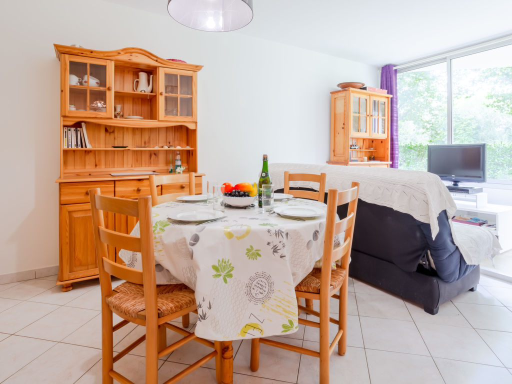 Appartement Plein Sud in Frankrijk