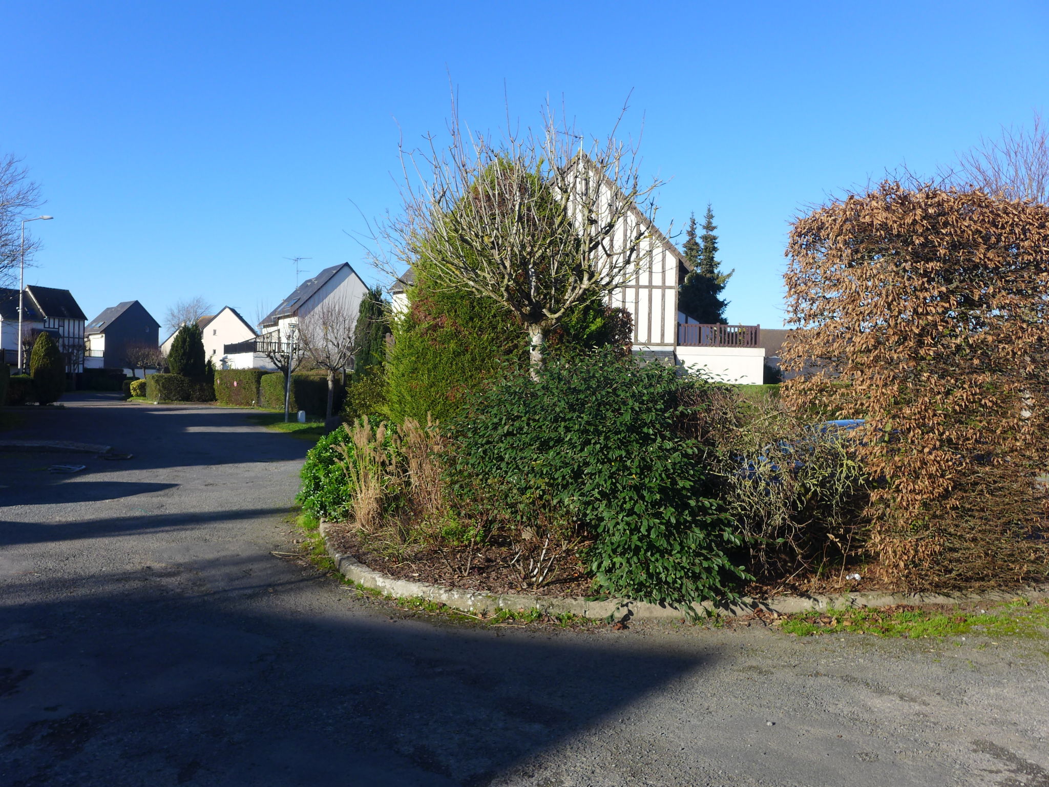 Photo of Les christophines