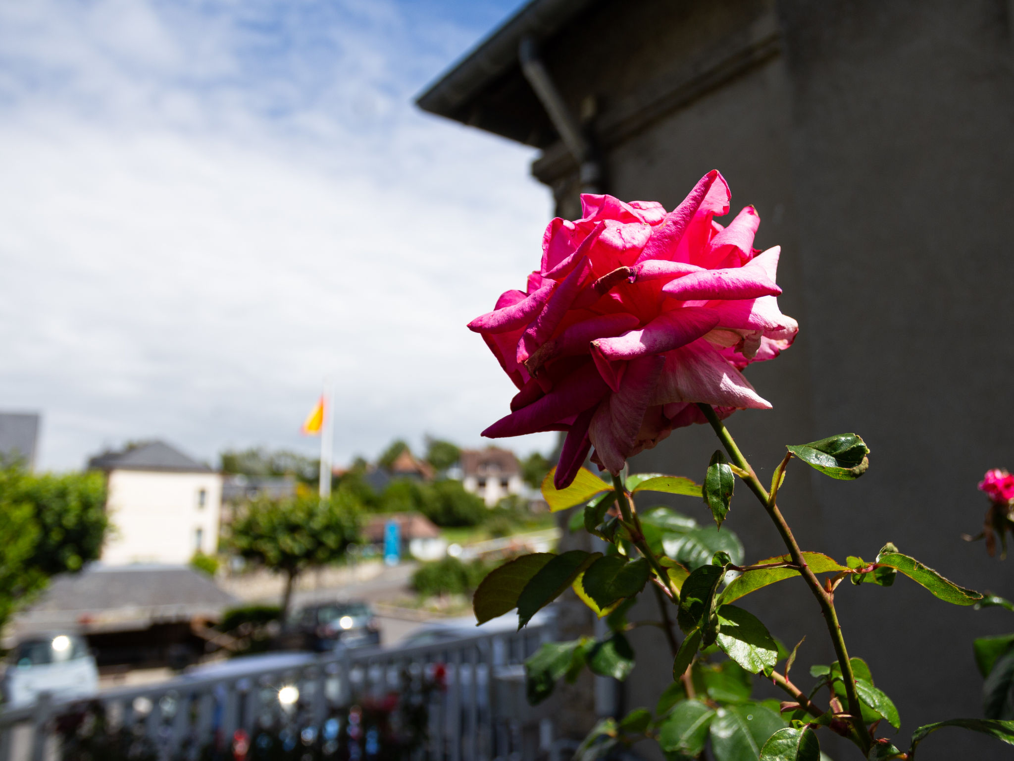 Villerville - Buiten