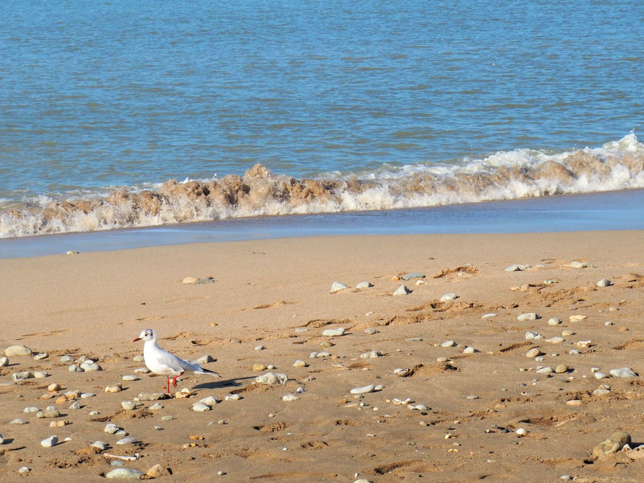 Landhaus Escapade Normande-Dedans