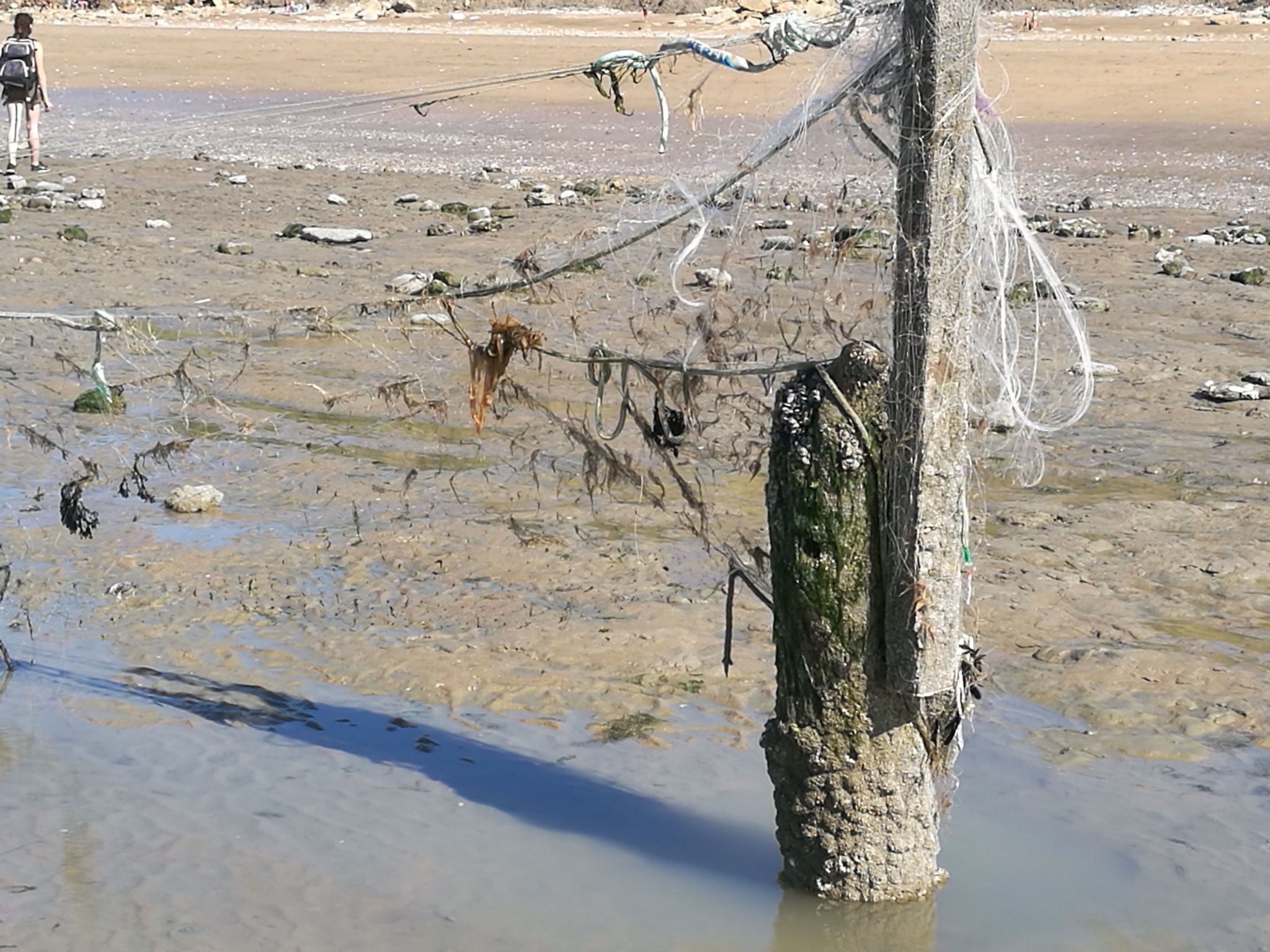 Joli studio pour 2 personnes-Binnen