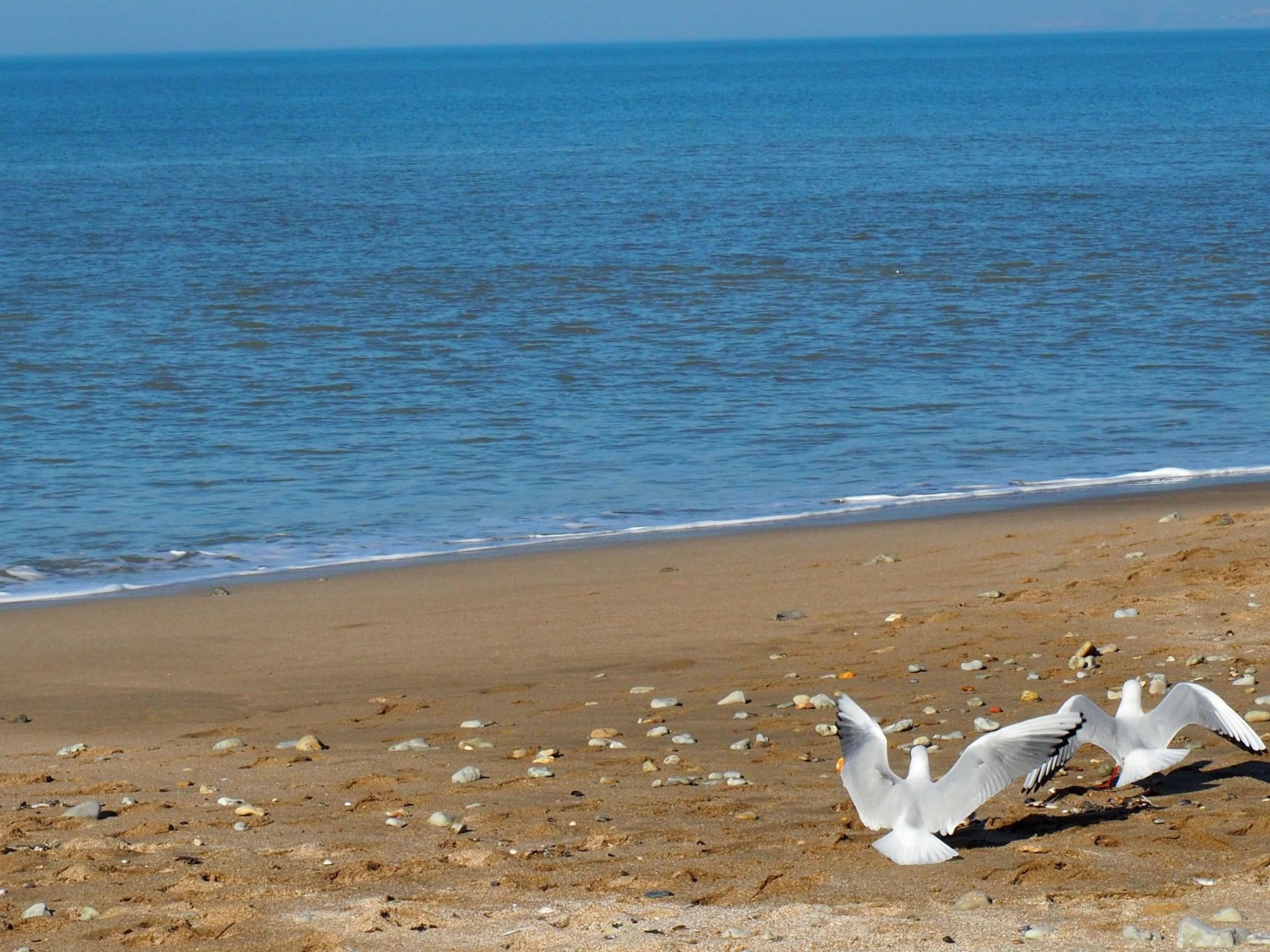 Joli studio pour 2 personnes-Binnen