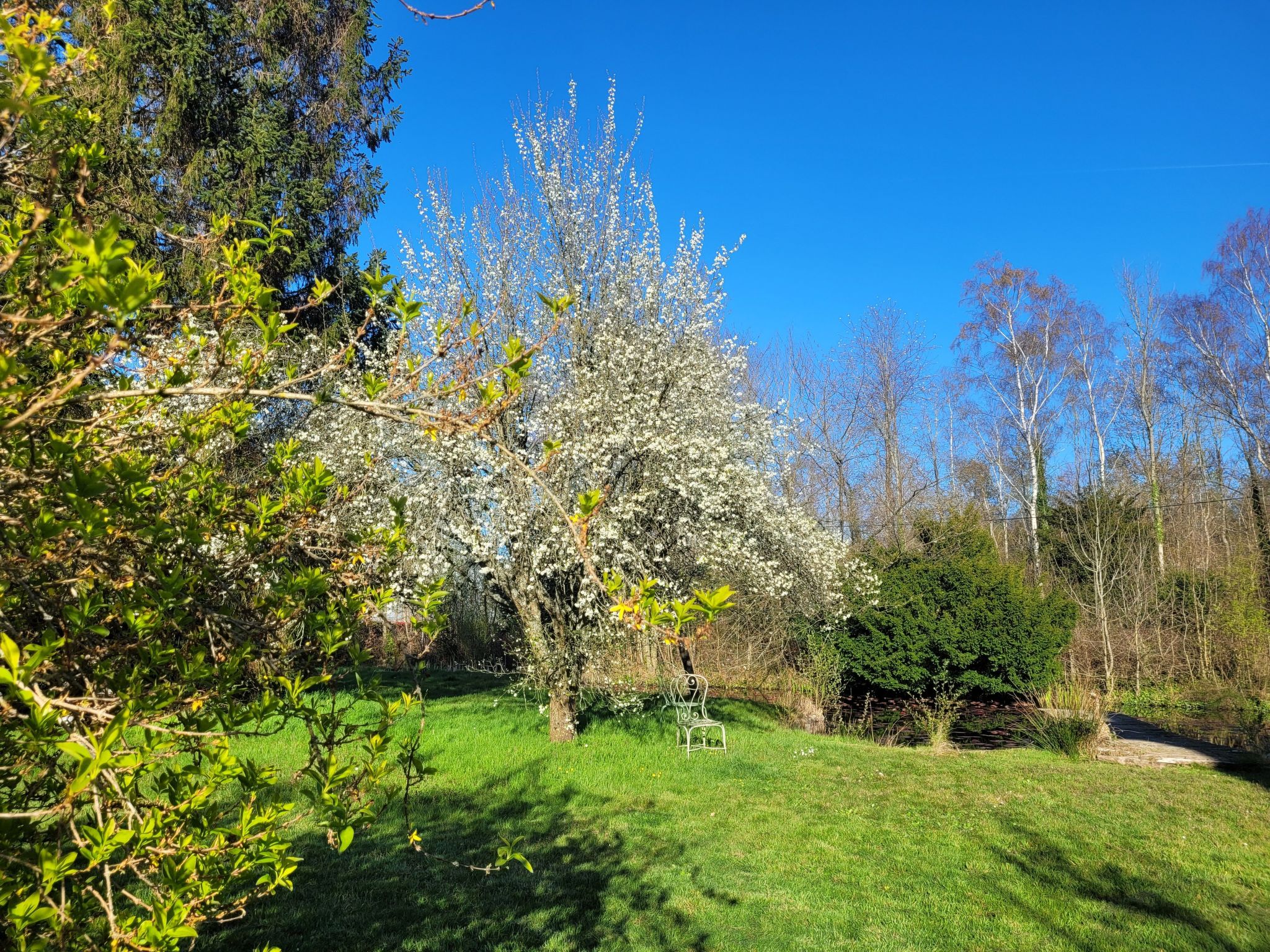 Renoviertes Ferienhaus in der Nähe von Cabourg-Deauville-Lisieux-Binnen