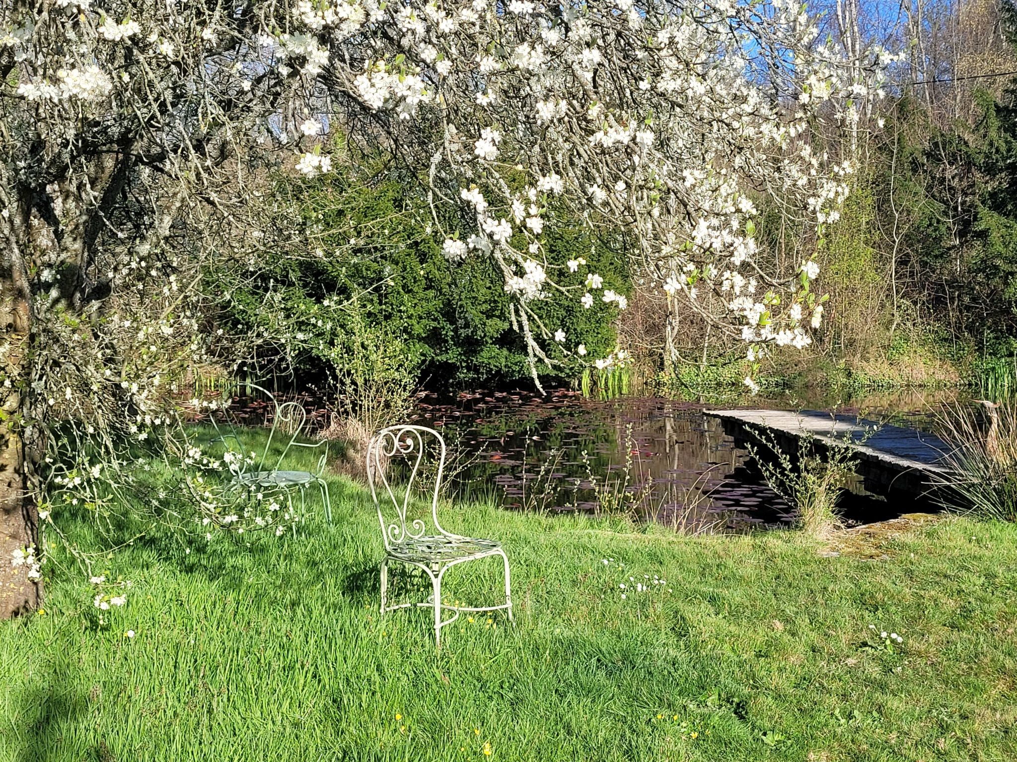 Renoviertes Ferienhaus in der Nähe von Cabourg-Deauville-Lisieux-Binnen