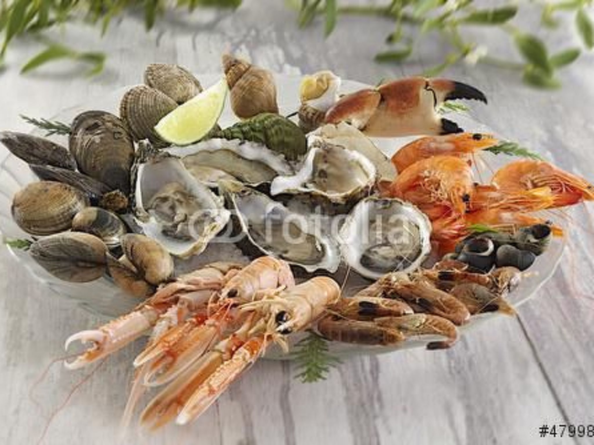 "Les flots bleus" (Die blauen Strände)-Dedans