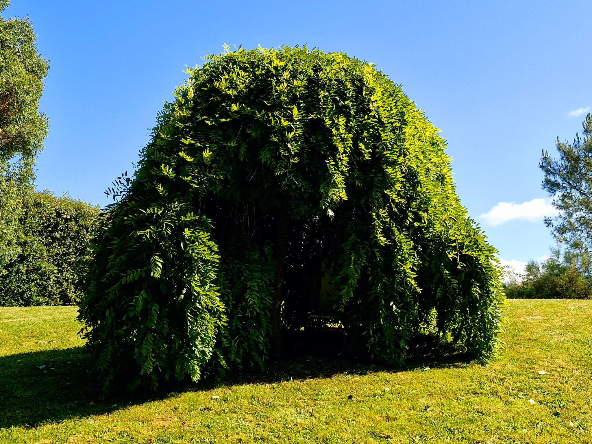 Le domaine des roseraies, Unterkunft Maupassant-Binnen