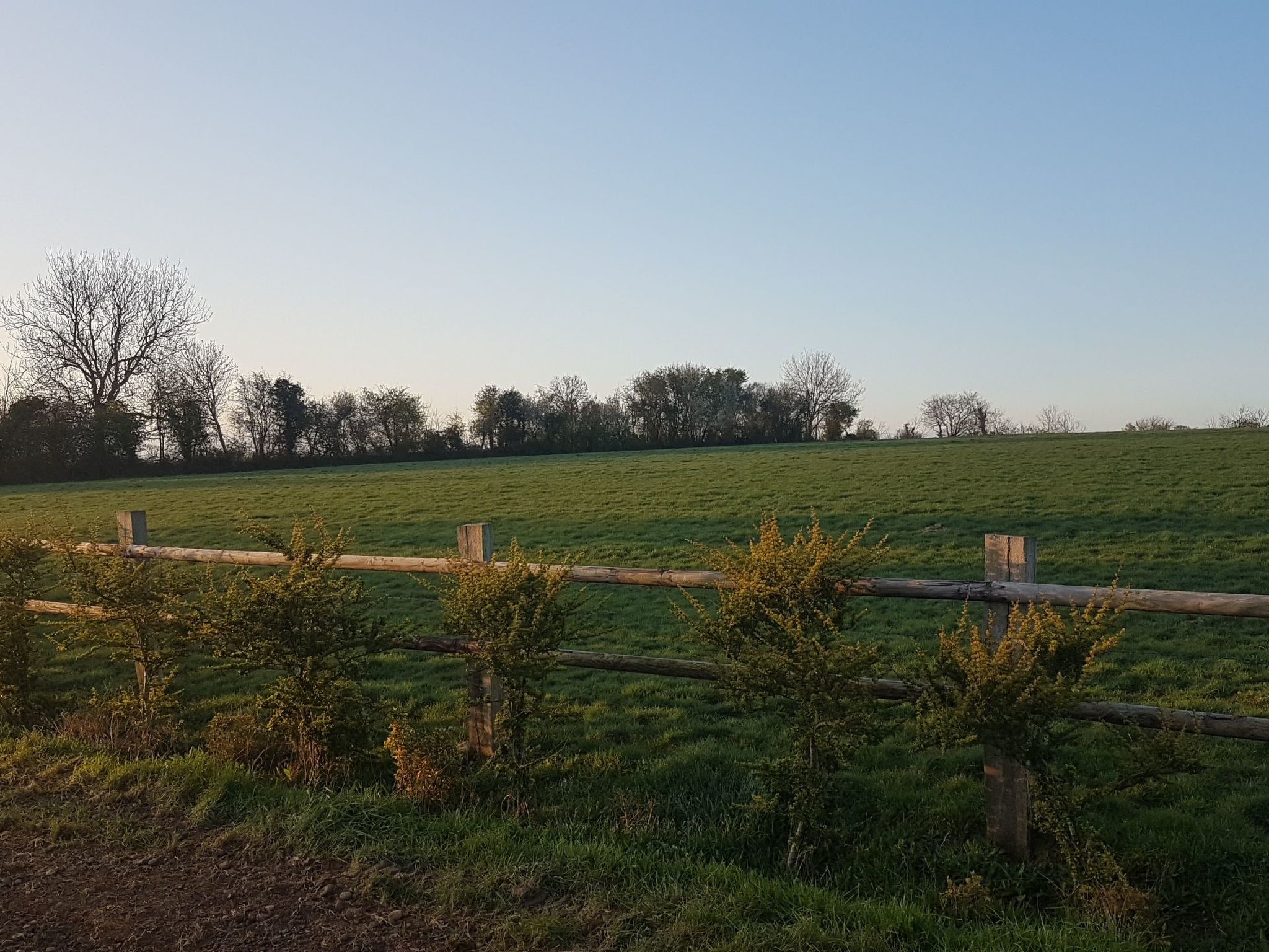 Le domaine des roseraies, Unterkunft Maupassant-Binnen