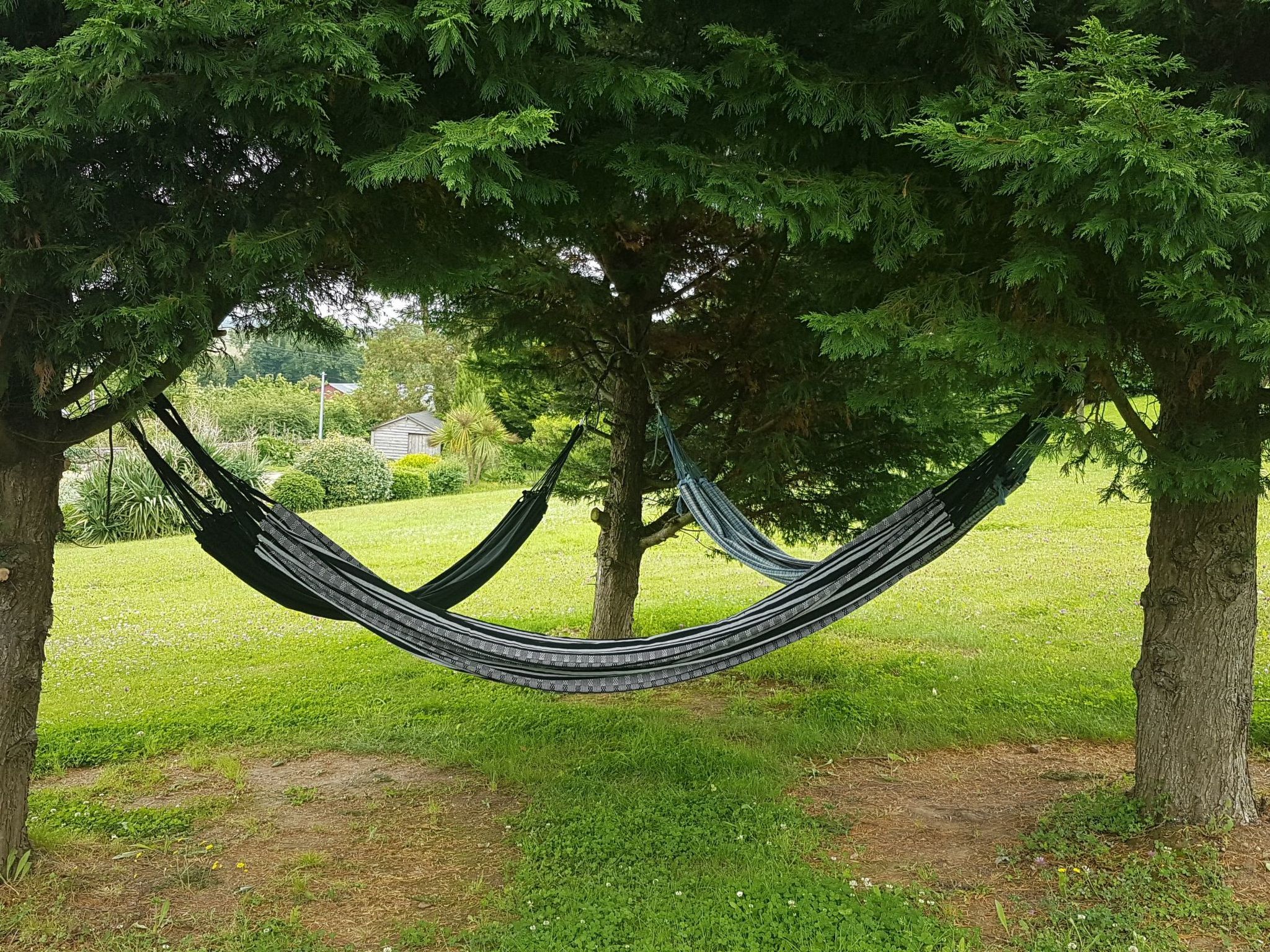 Le domaine des roseraies, gîte les roseraies-Binnen