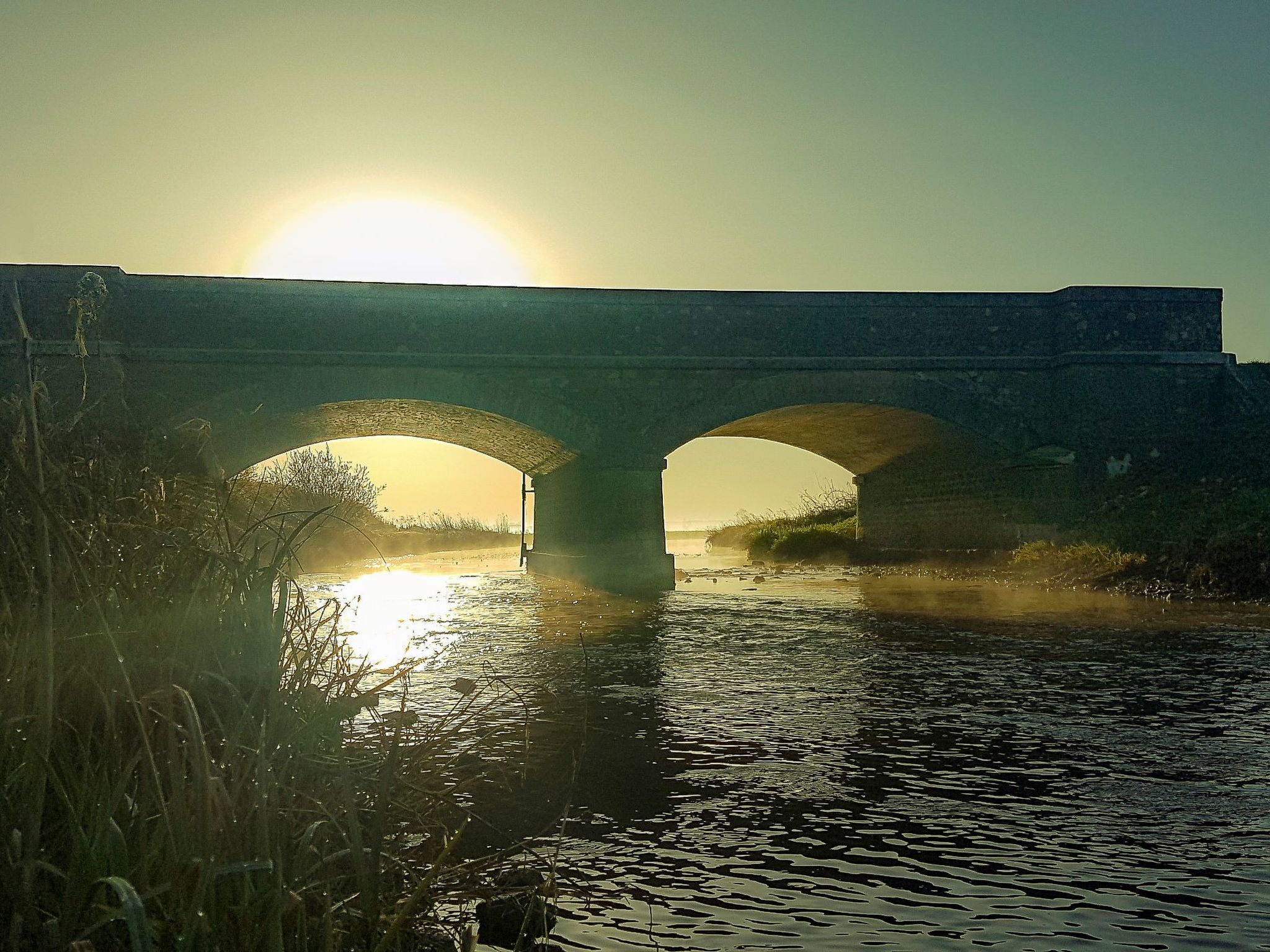 Le domaine des roseraies, gîte les roseraies-Binnen