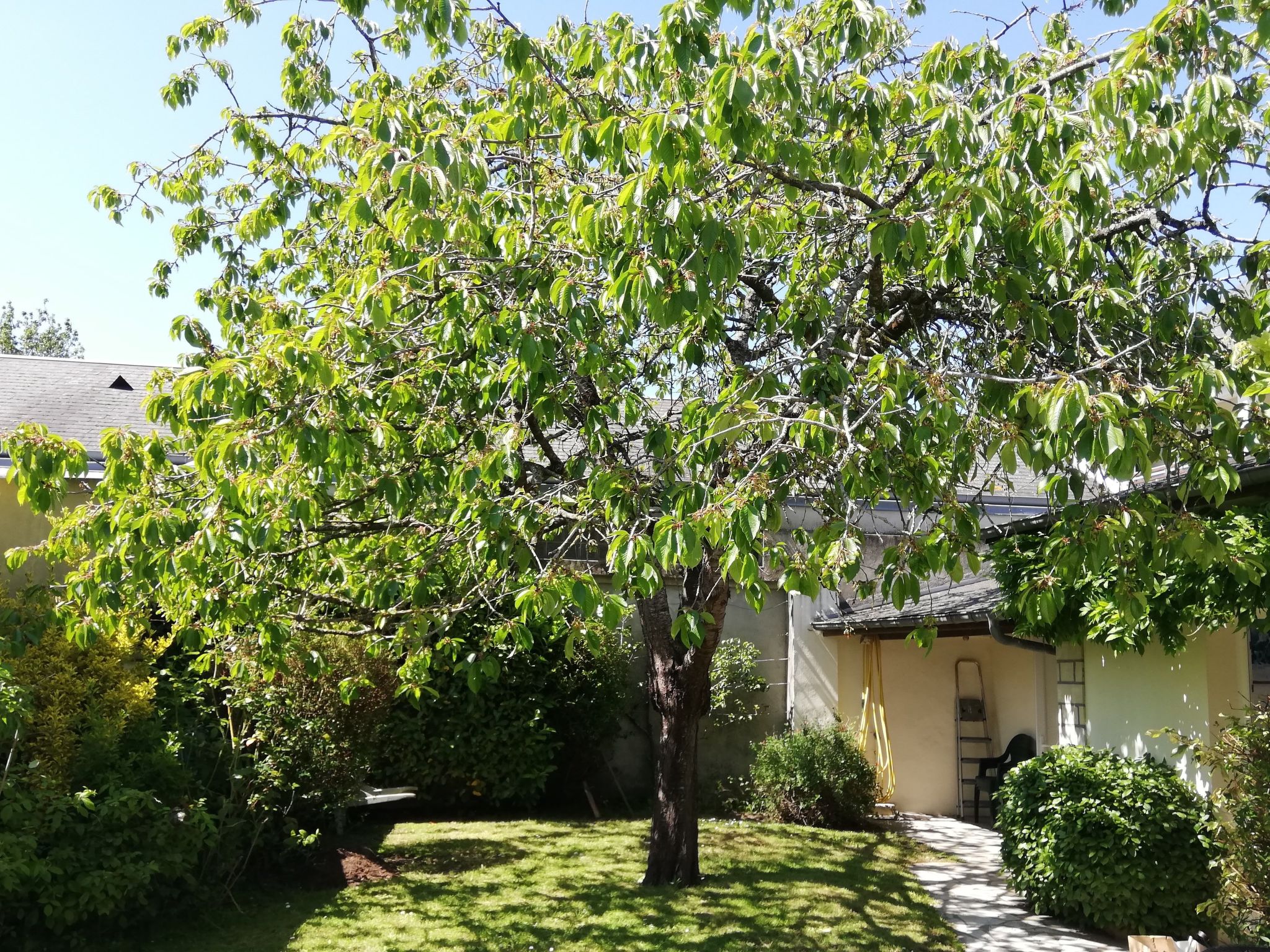 Schönes Haus Isigny für 6 Personen-Binnen