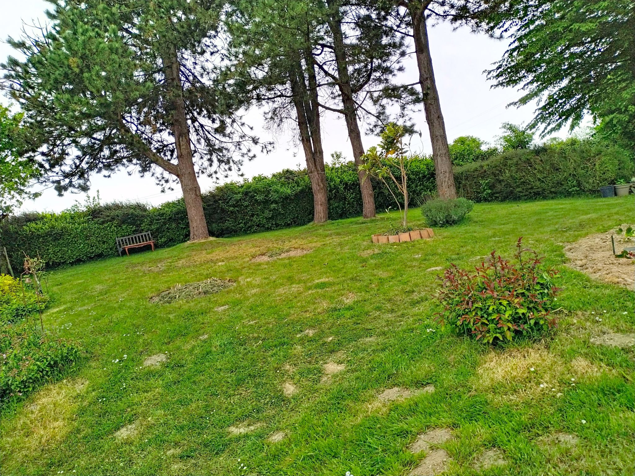 Coin Nature - Buiten