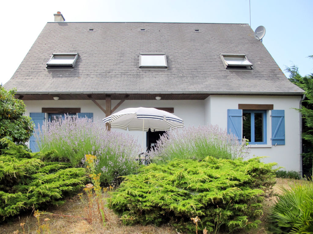 Bild 17