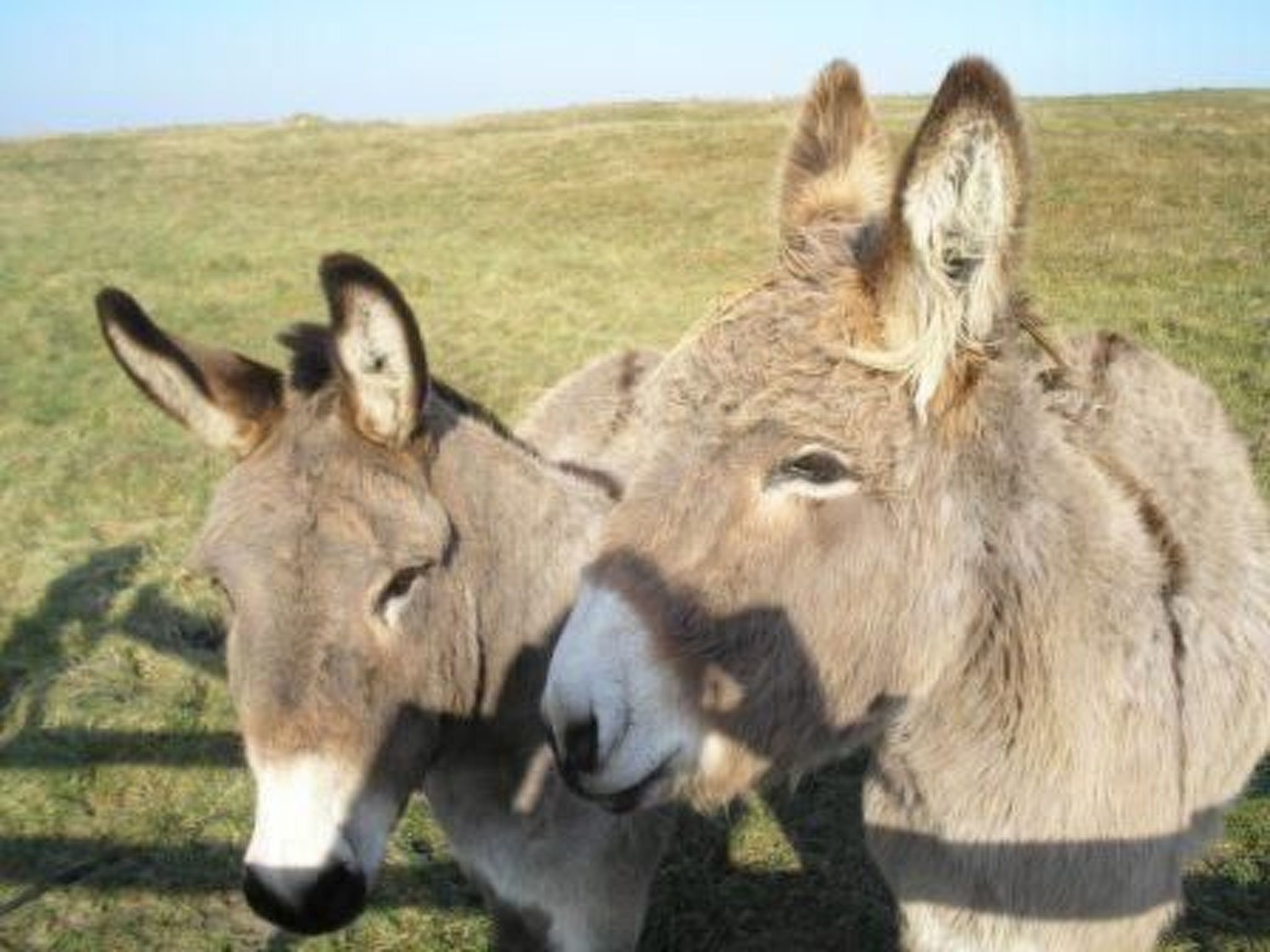 "Garence" mit eigener Terrasse-Dehors