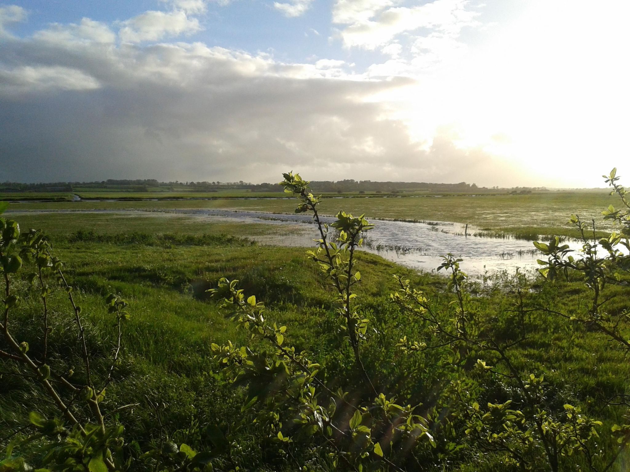 "Garence" mit eigener Terrasse-Image-tags.info