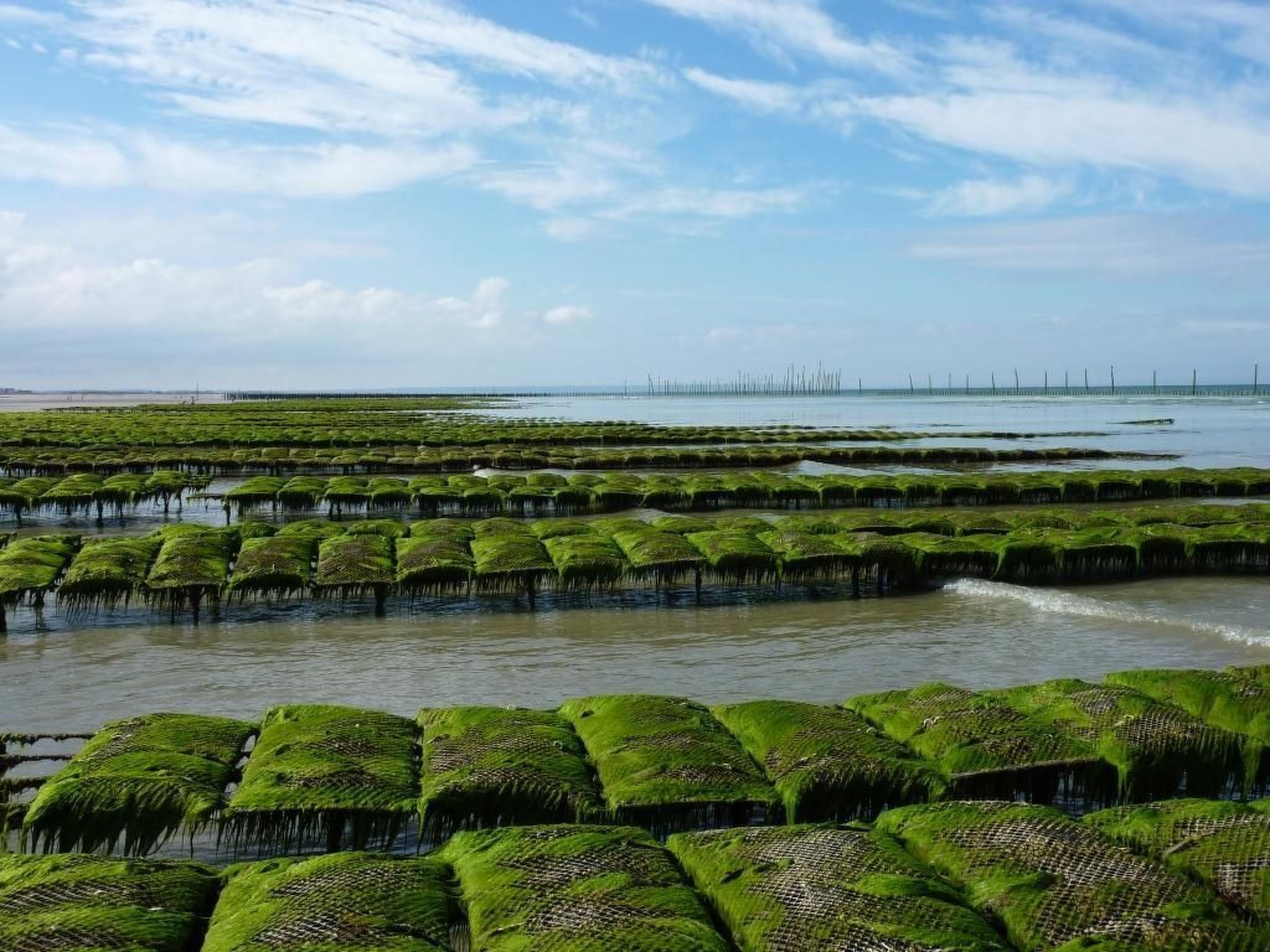 "Garence" mit eigener Terrasse-Image-tags.info