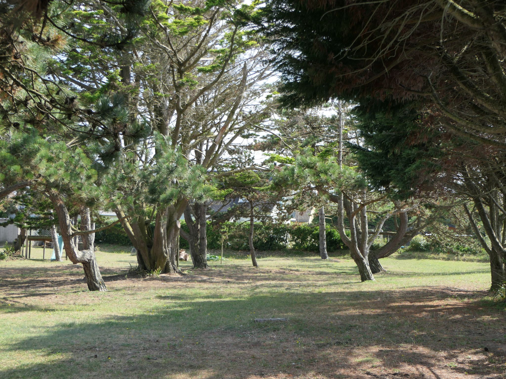 "8883" in Strandnähe-Binnen