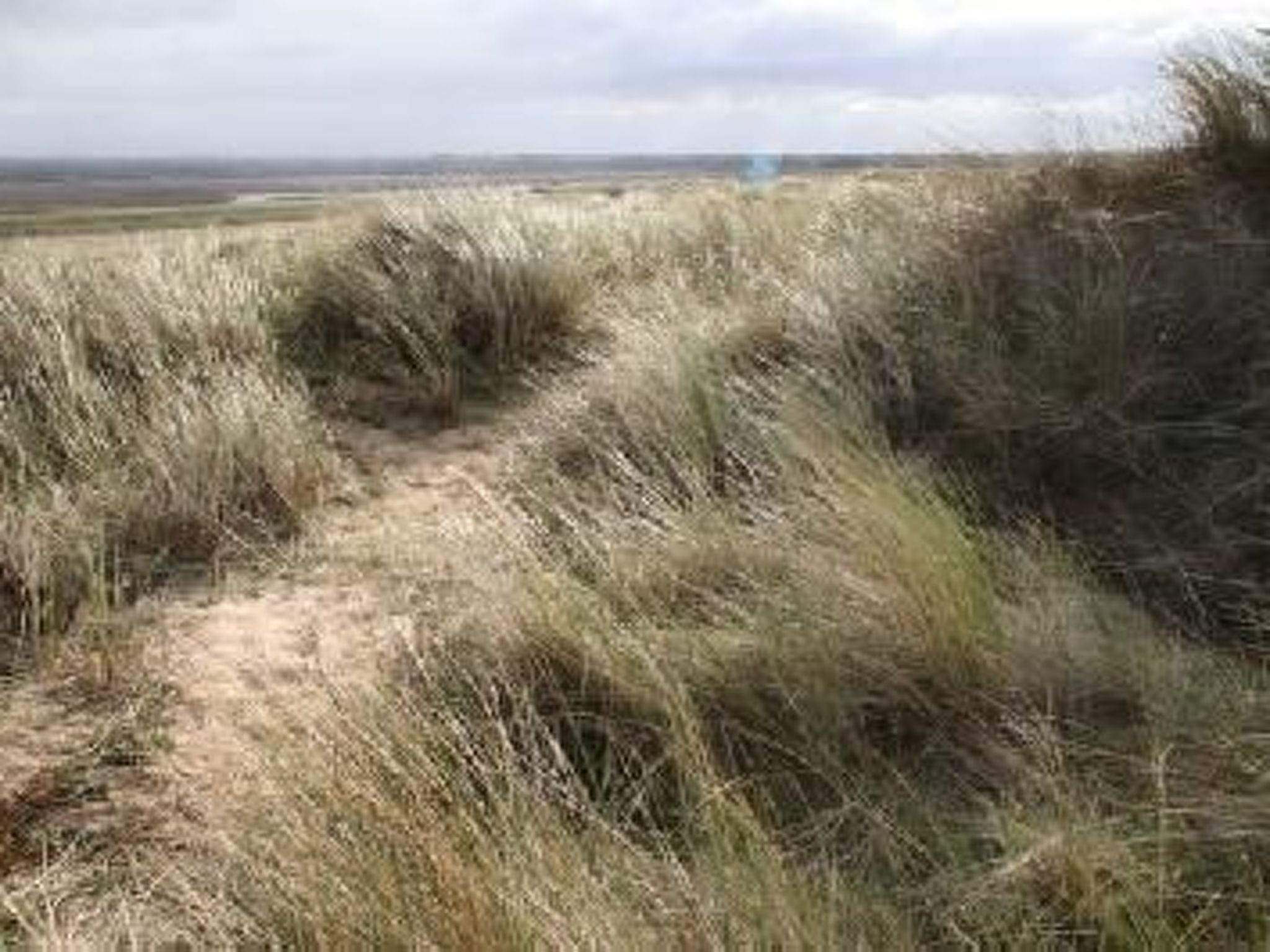 "8883" in Strandnähe-Binnen