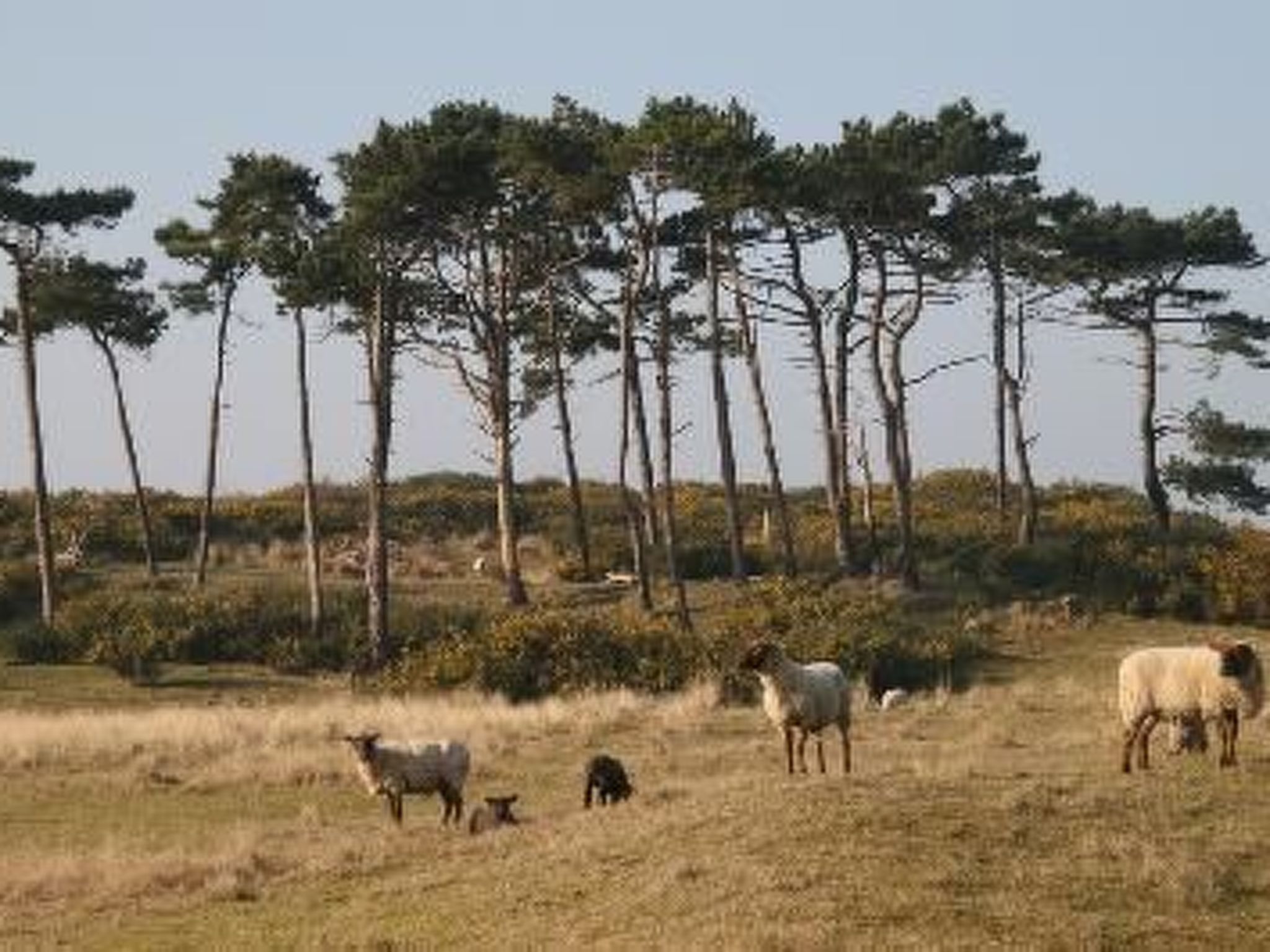 "8883" in Strandnähe-Binnen