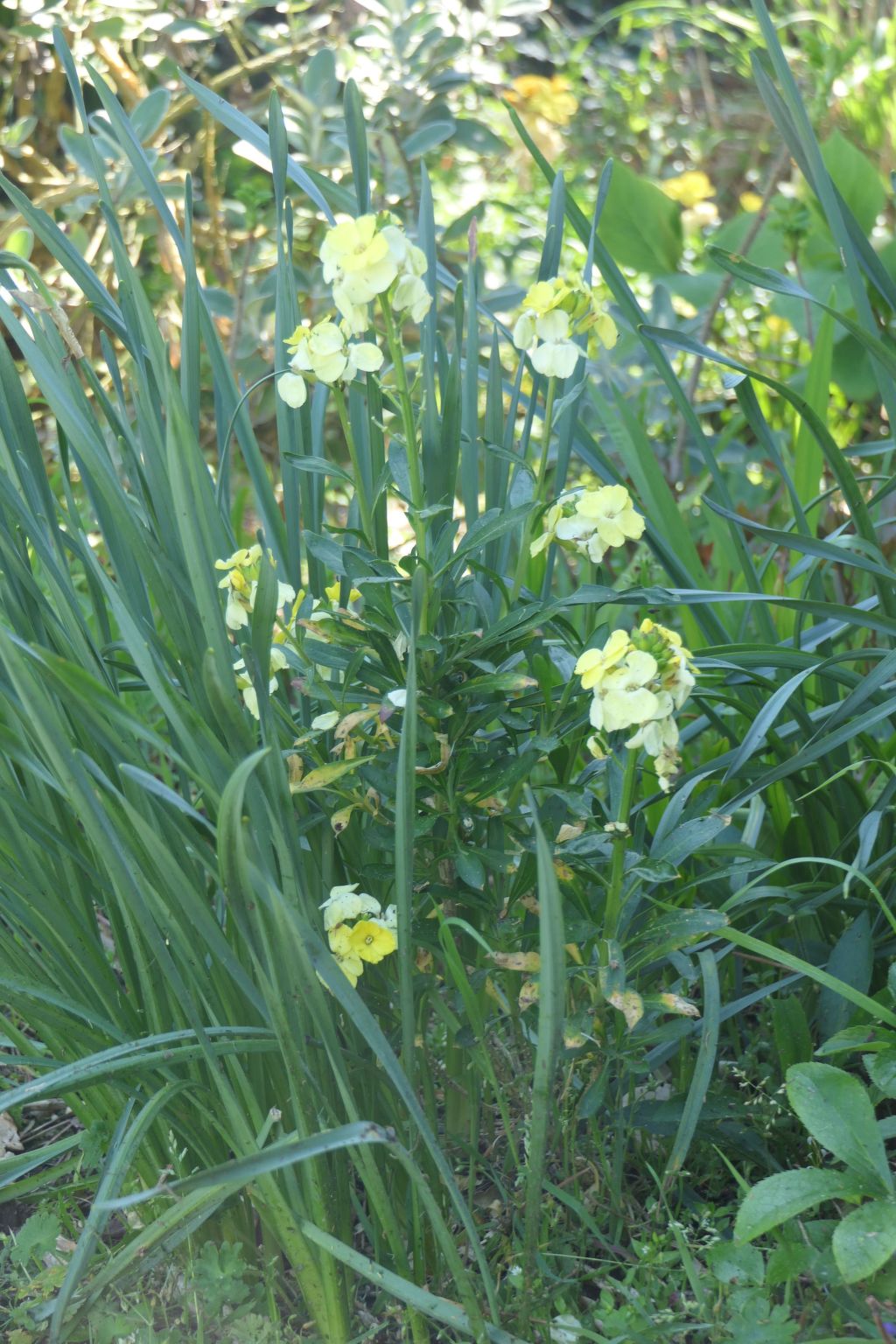 "8883" in Strandnähe-Binnen