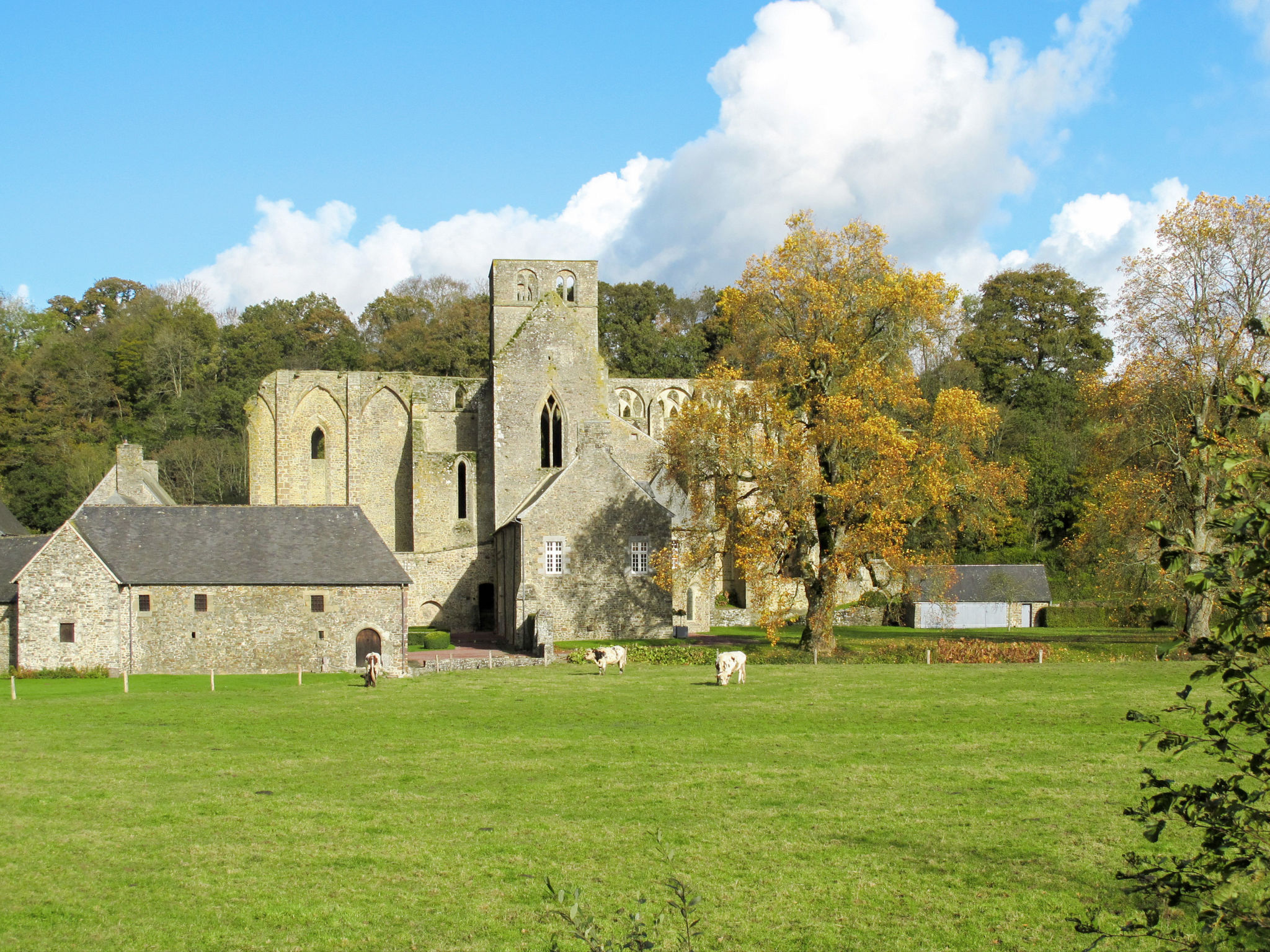 Holiday Rental Accommodation