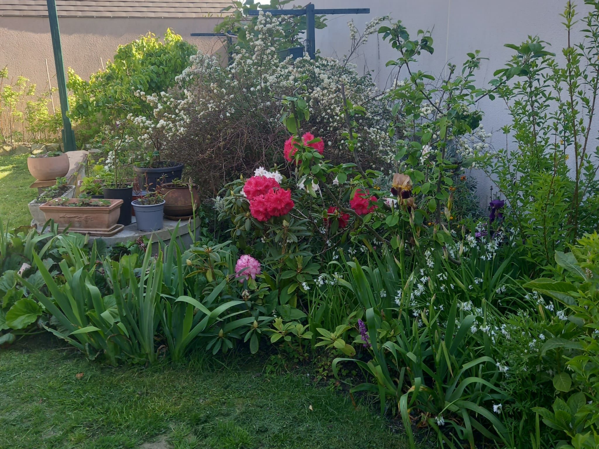 Le Paradis des Fleurs-Buiten