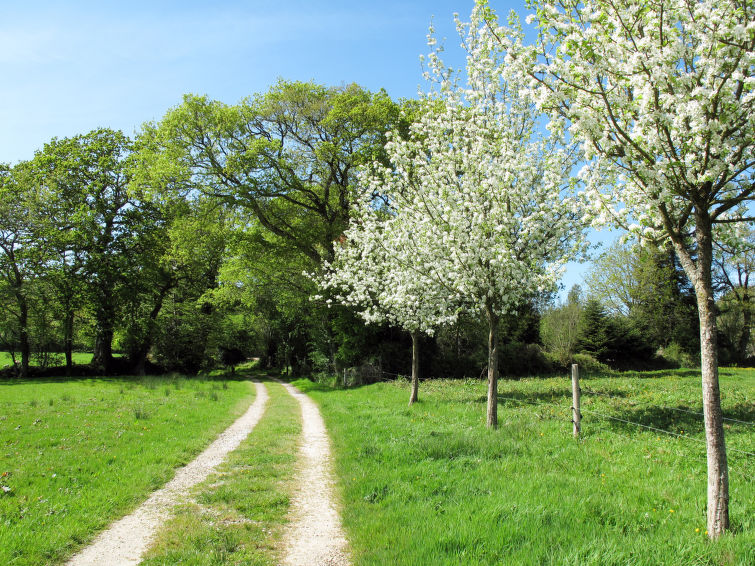 La Bergerie (SXX401)