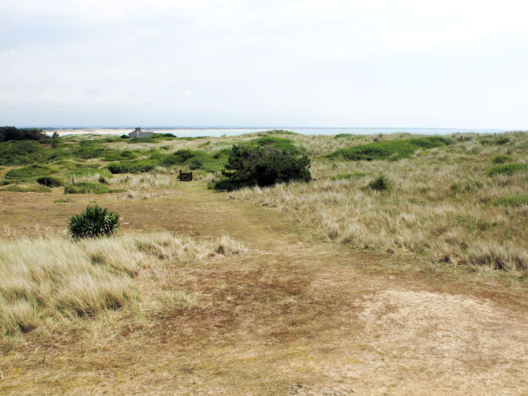 Les Dunes