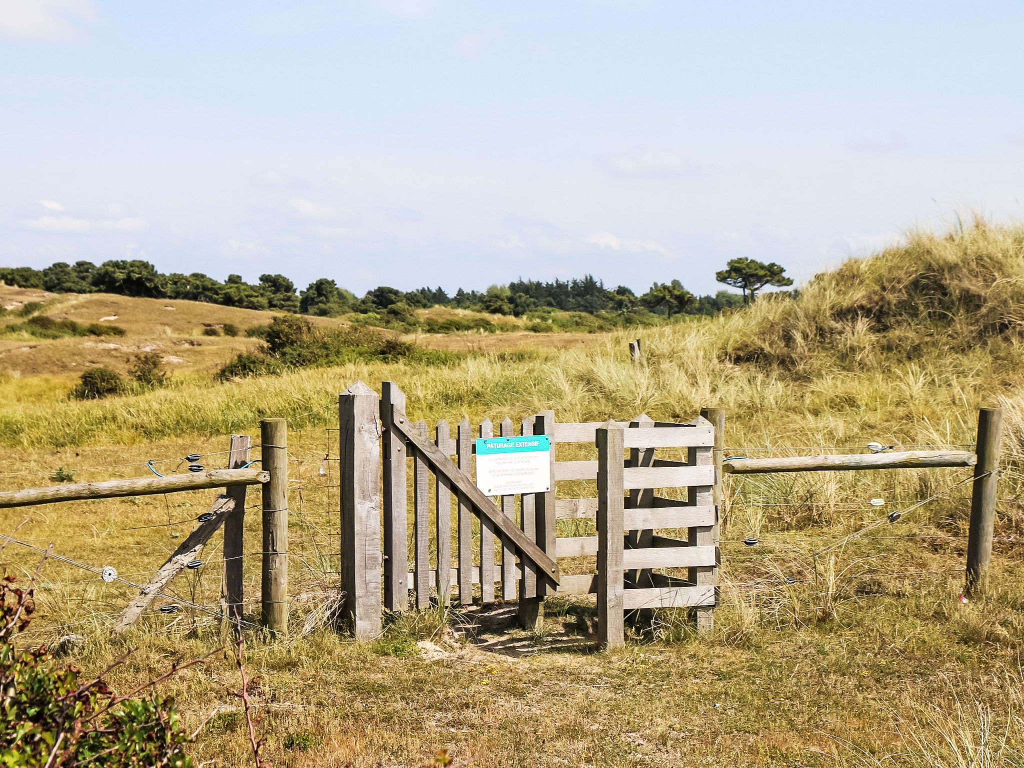 L'Escale dunes, Strände 20 Meter entfernt, Meerblick - Buiten