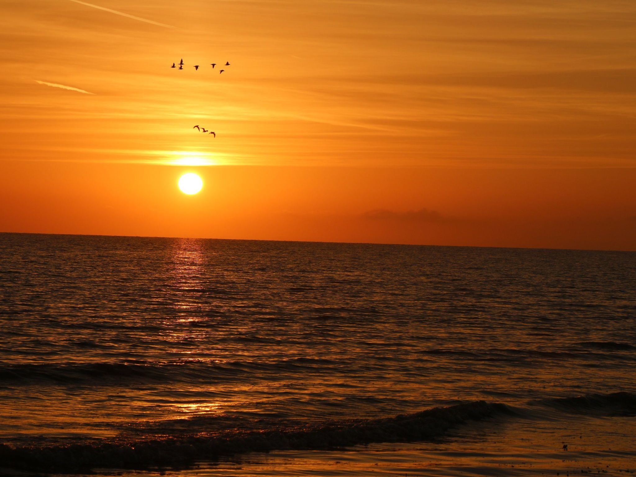 L'Escale dunes, Strände 20 Meter entfernt, Meerblick-Image-tags.info