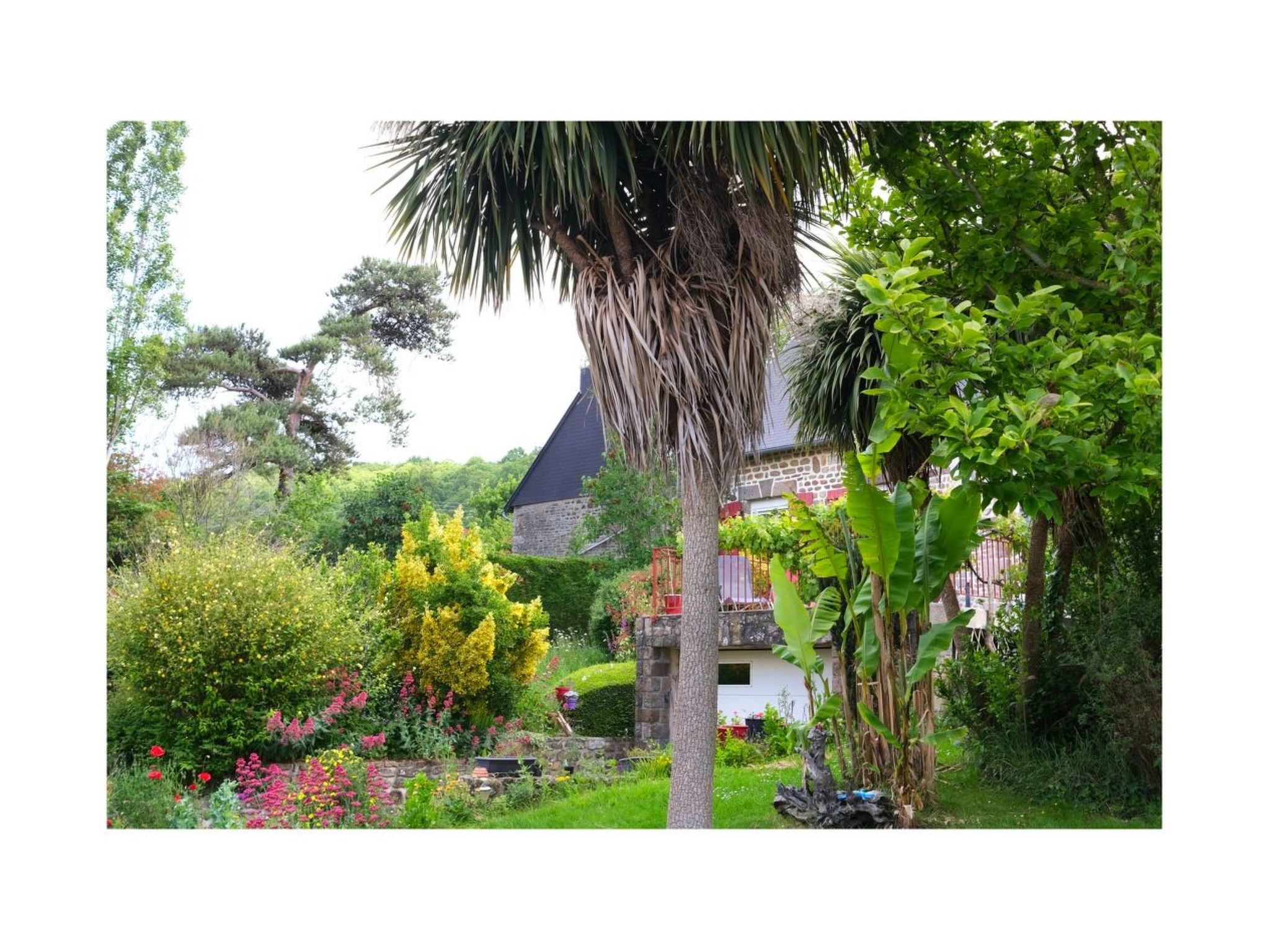 Domäne mit Terrasse-Binnen