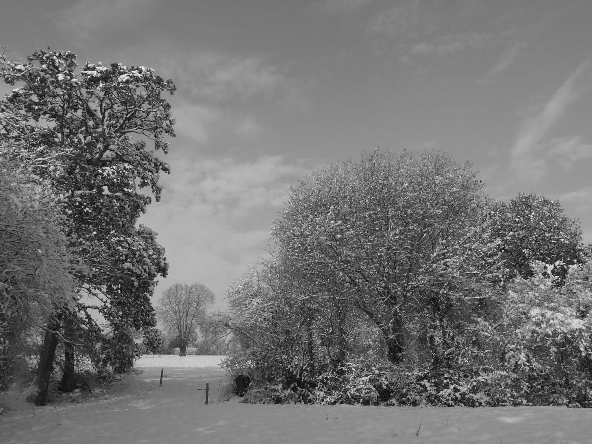 Kleines Studio auf dem Land für 2 Personen-Dehors