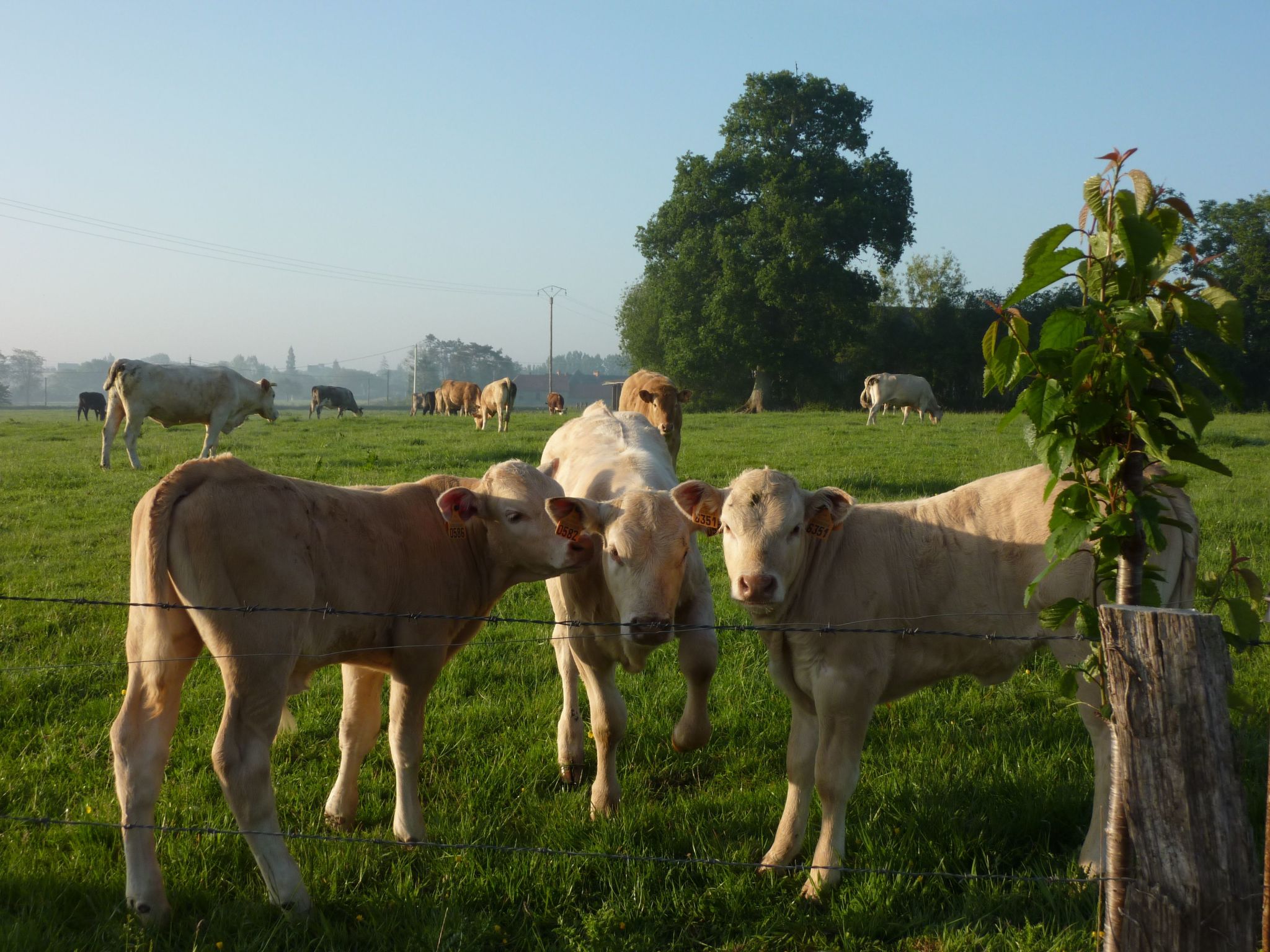 Kleines Studio auf dem Land für 2 Personen-Image-tags.info