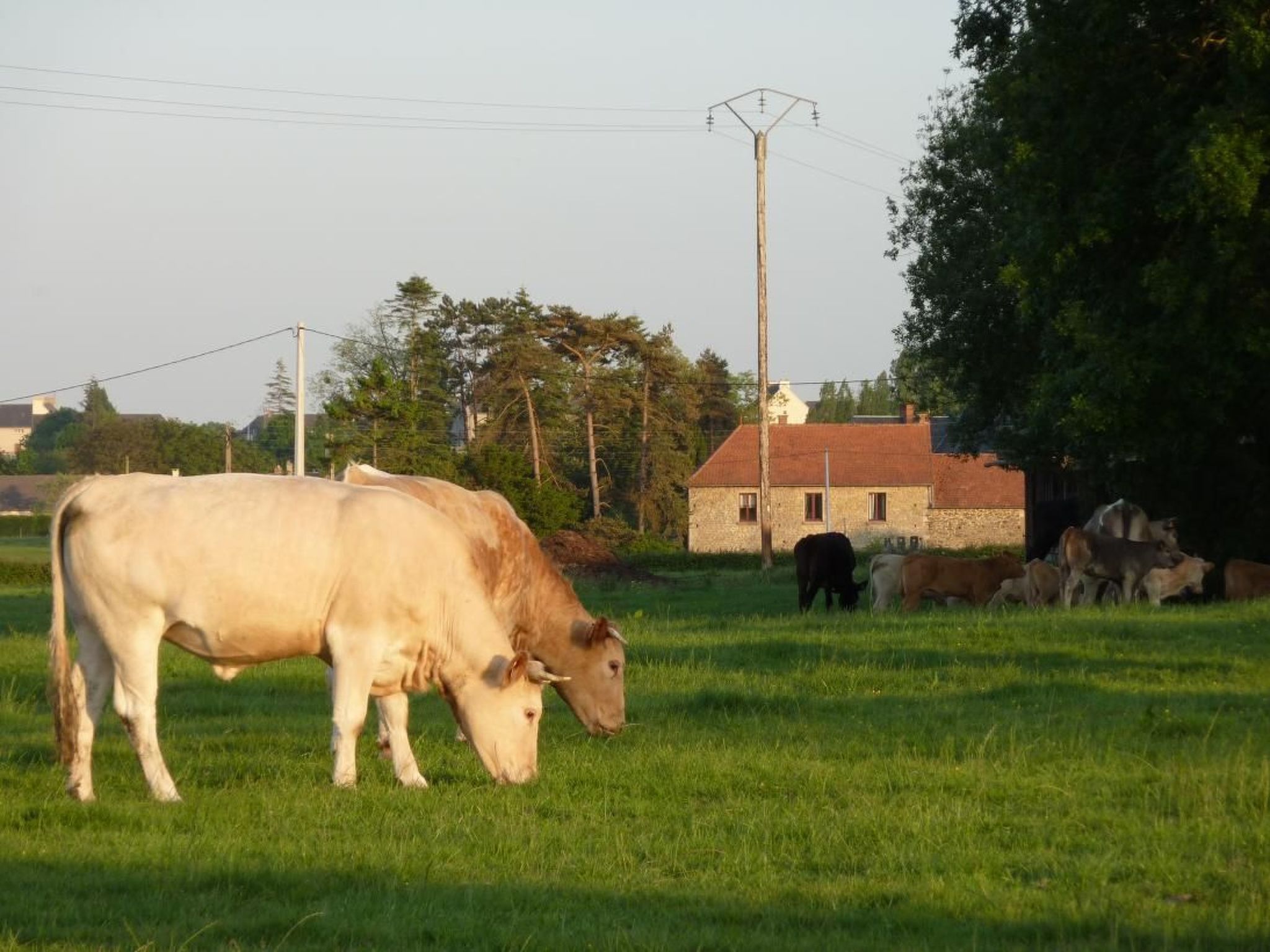 Kleines Studio auf dem Land für 2 Personen-Image-tags.info