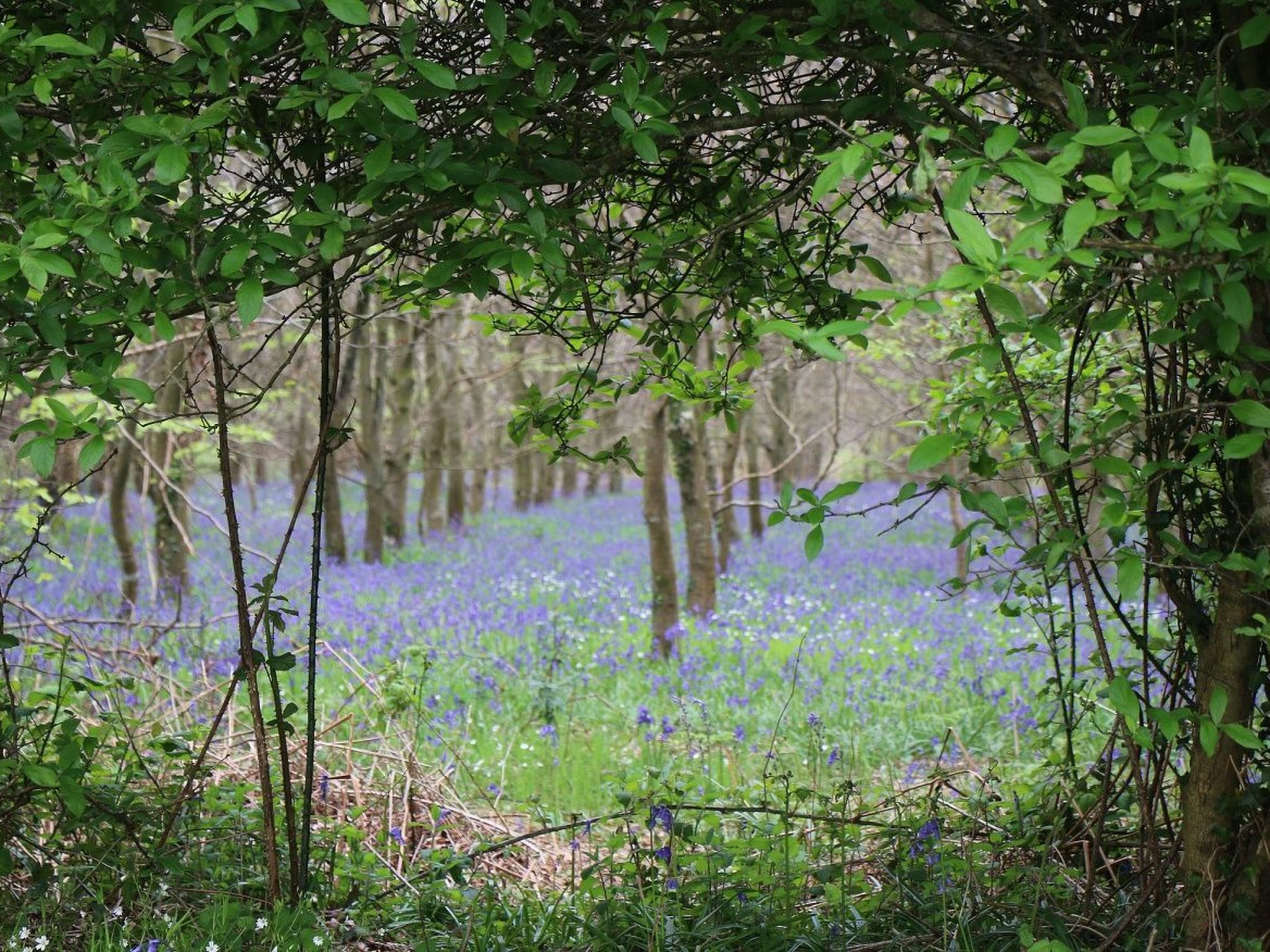 Kleines Studio auf dem Land für 2 Personen-Image-tags.info