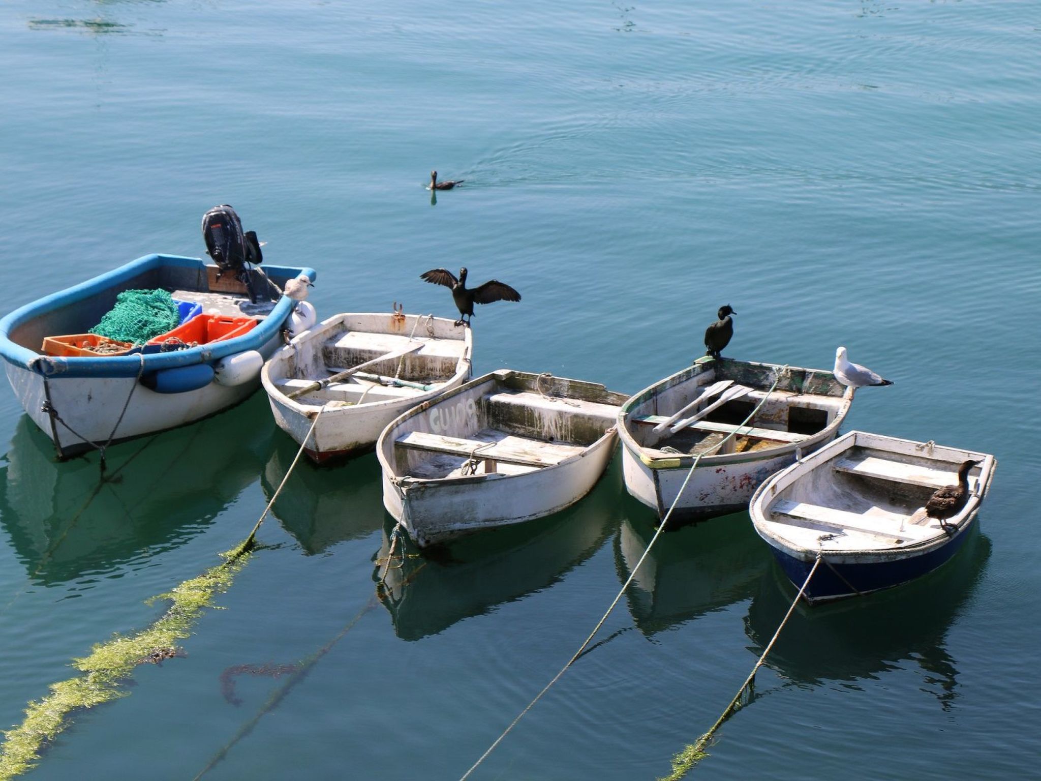 Kleines Studio auf dem Land für 2 Personen-Image-tags.info