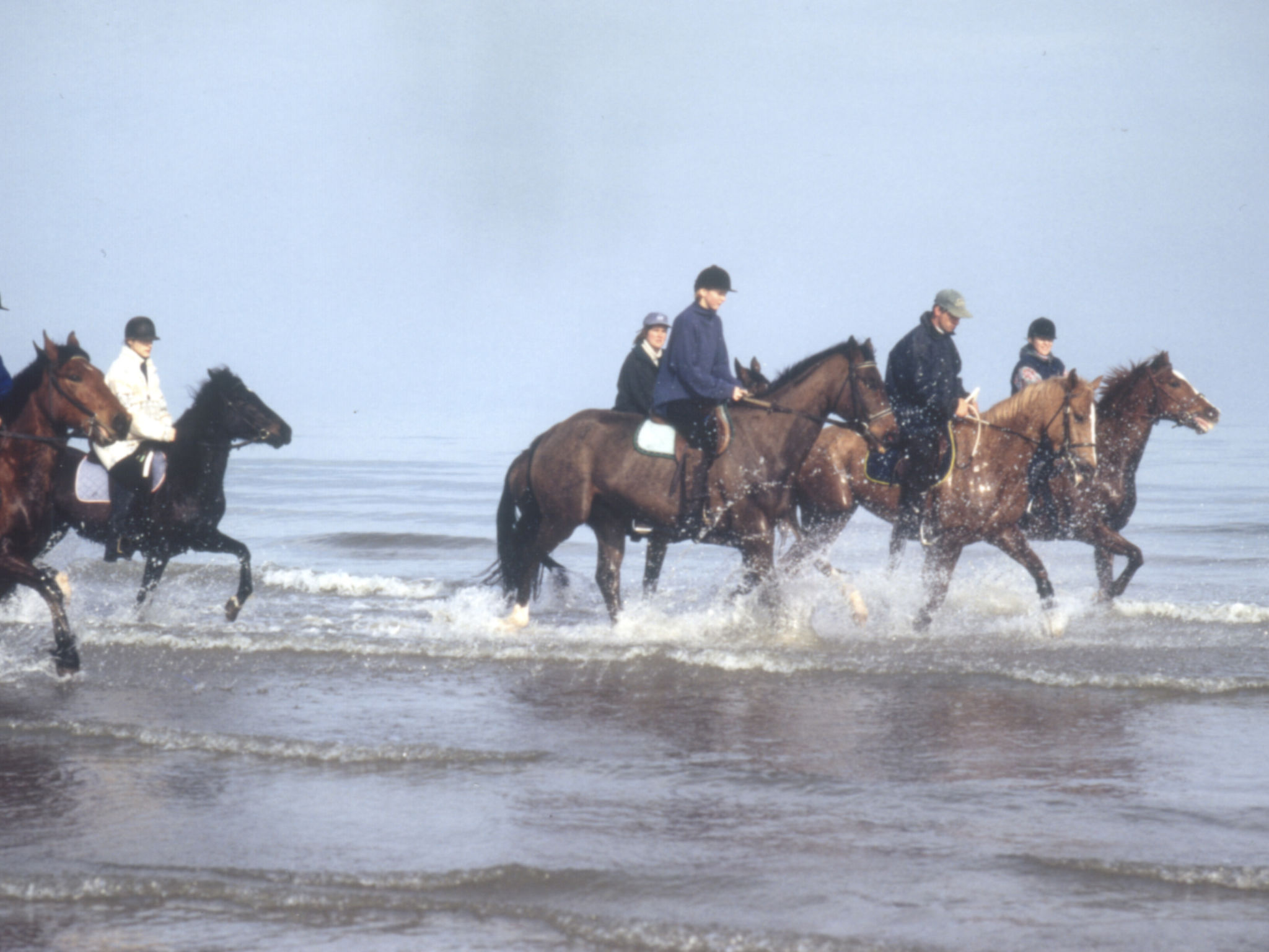 "L'Eucalyptus-Dedans