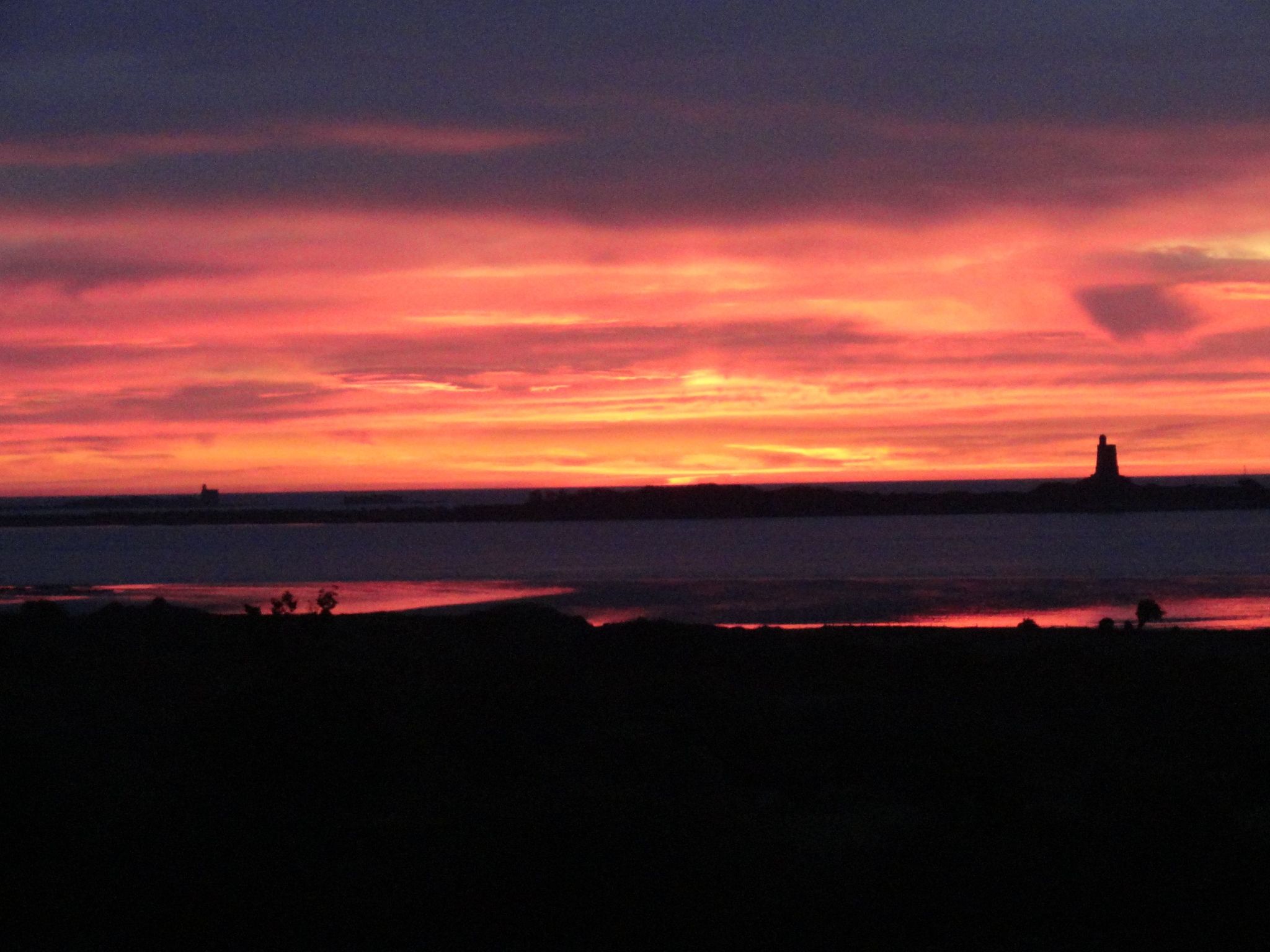 "L'Eucalyptus-Dedans