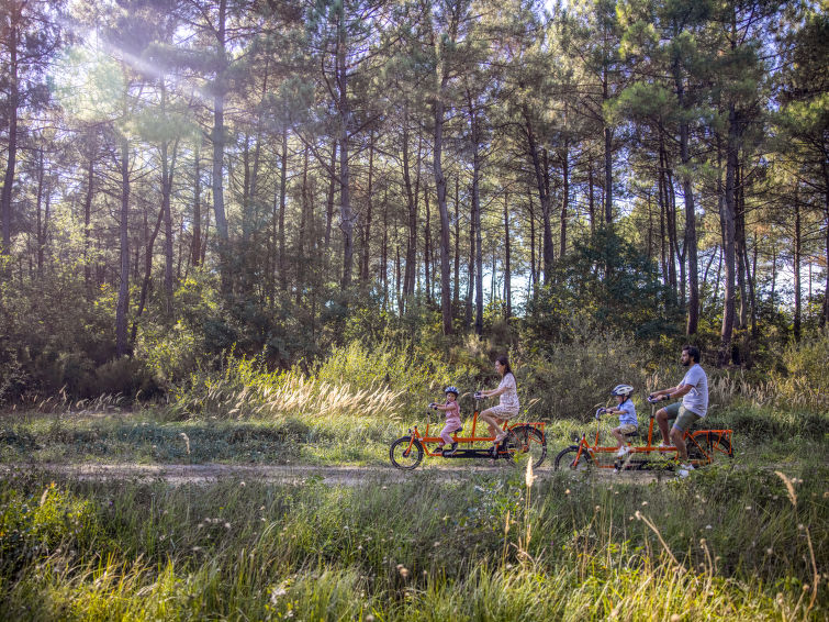 Park Le Bois aux Daims