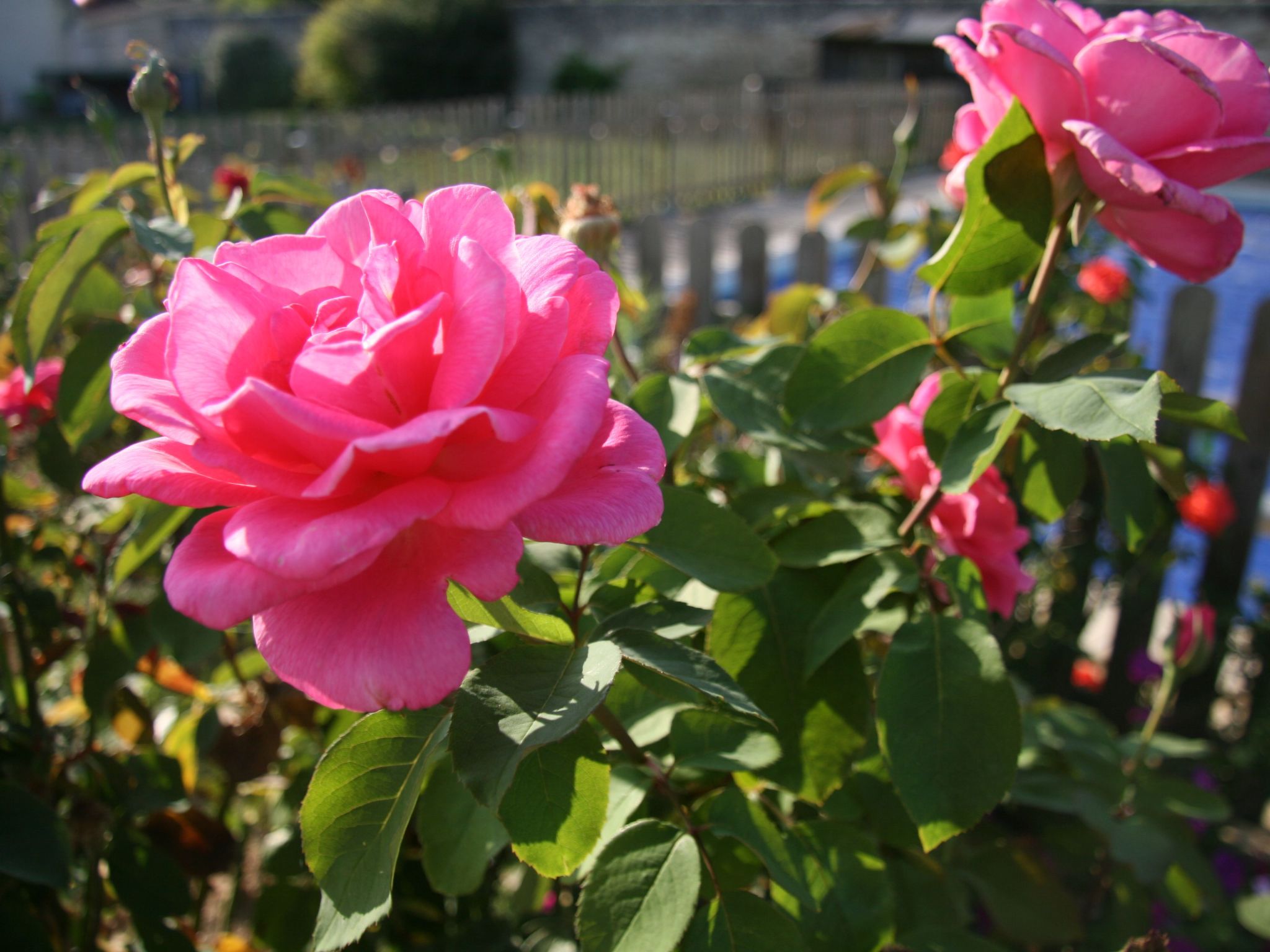 Loire Escapes - Gites für Selbstversorger auf dem Lande in Frankreich - ein fri-Image-tags.info