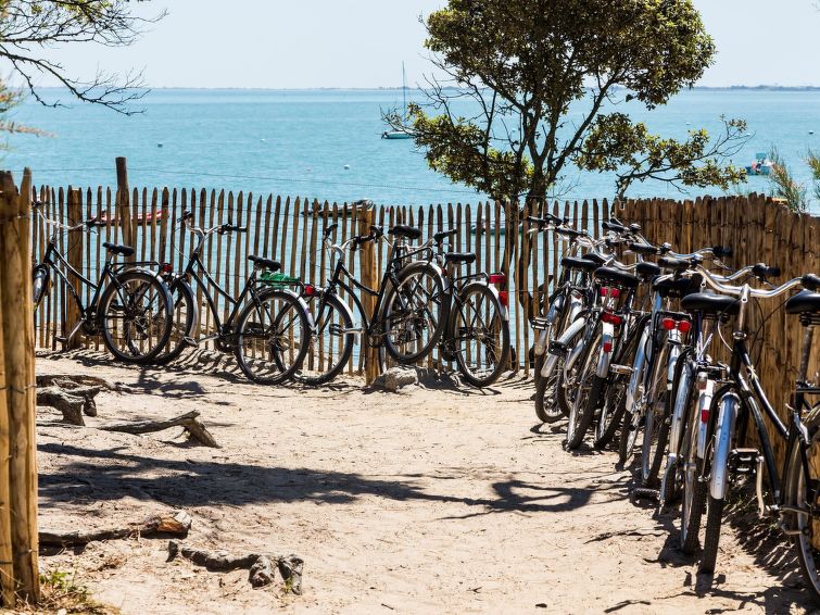 Foto: Ile de Noirmoutier - Pays de la Loire