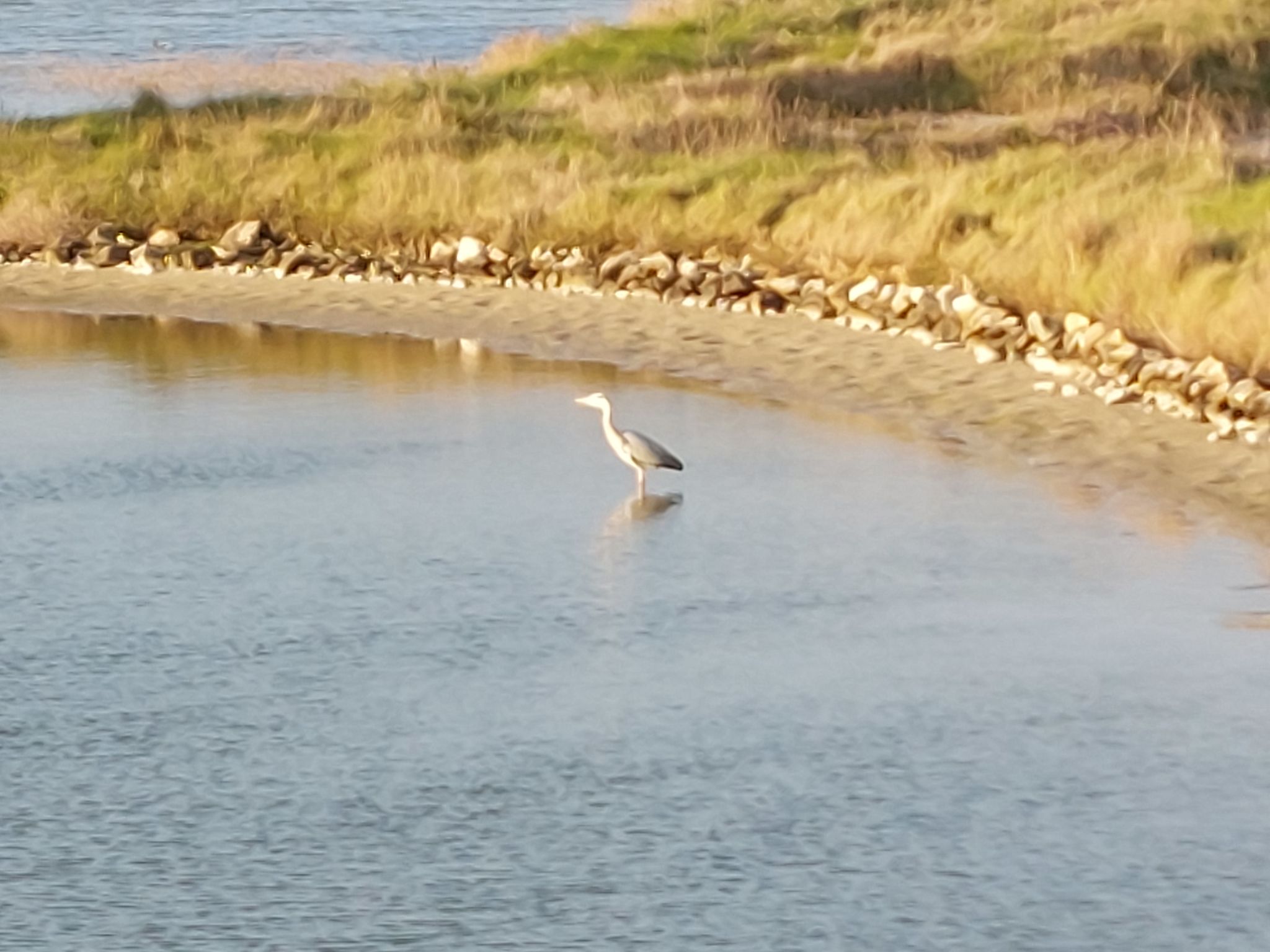 Confort et Relax à la Plage-Omgeving