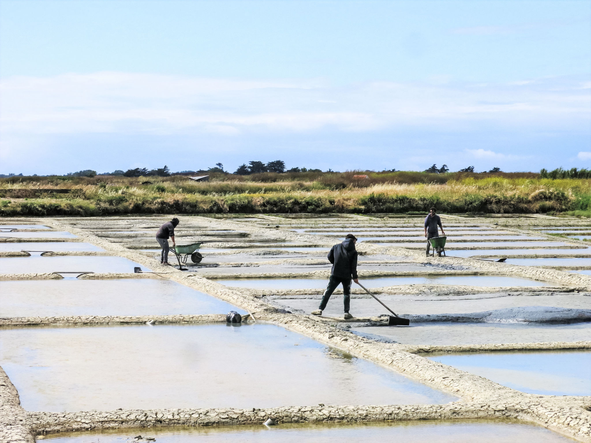 Fleur de Sel - Omgeving