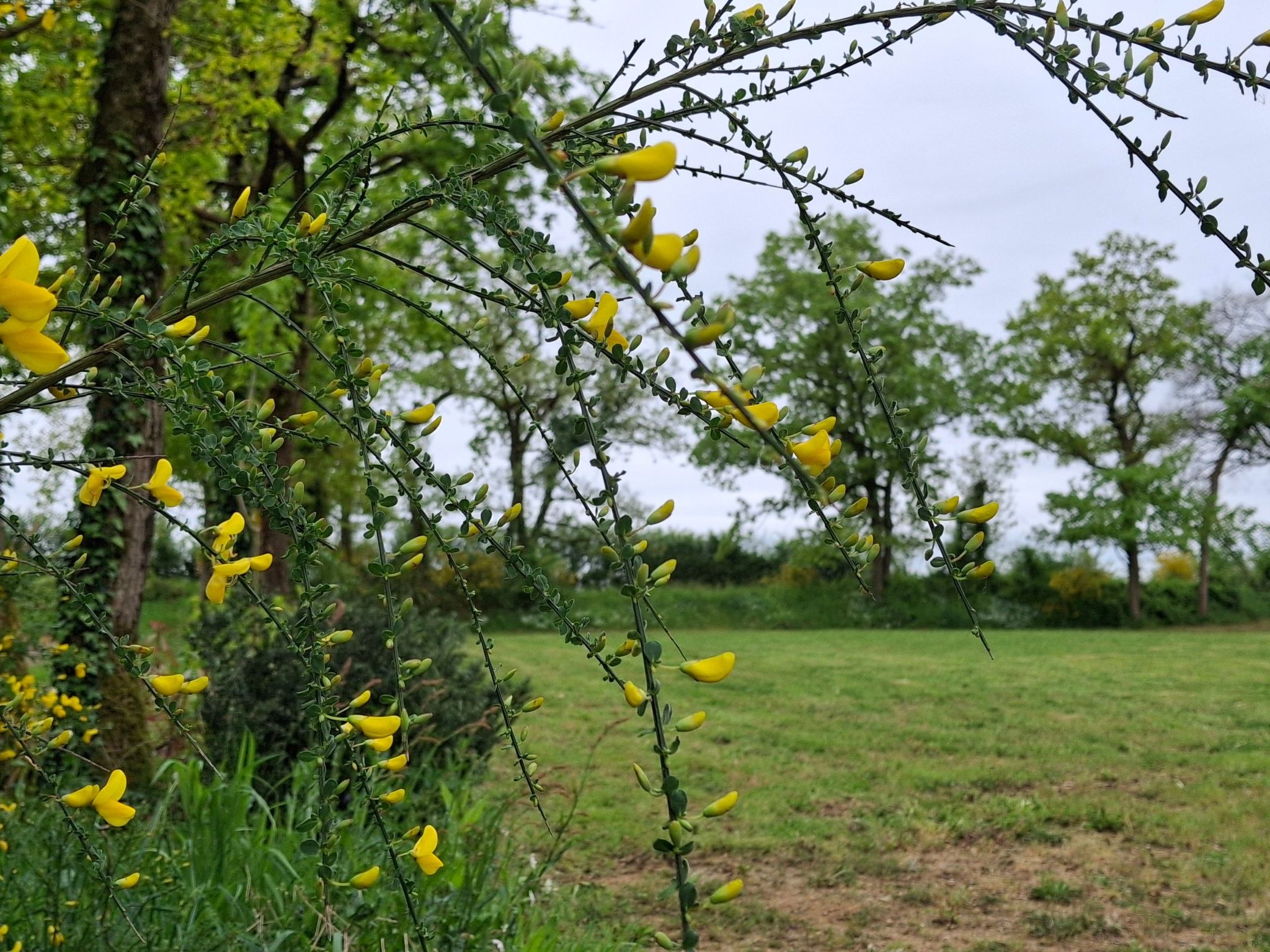 Cottage "Cottage Confort 1 ch" im Feriendorf-Image-tags.info